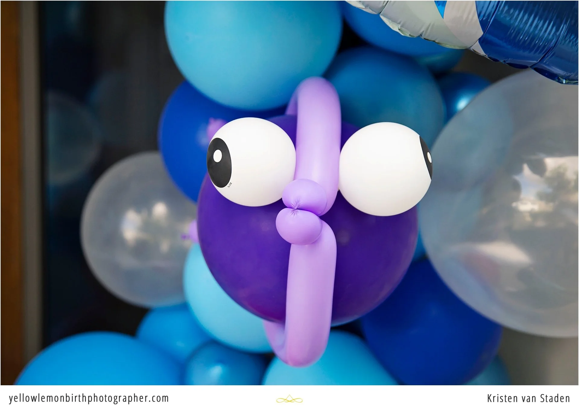 under the sea two oceans aquarium birthday party_024.jpg
