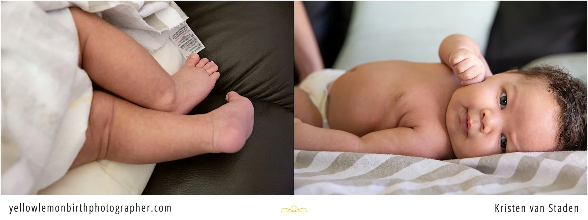 home newborn photo session yellow lemon_015.jpg