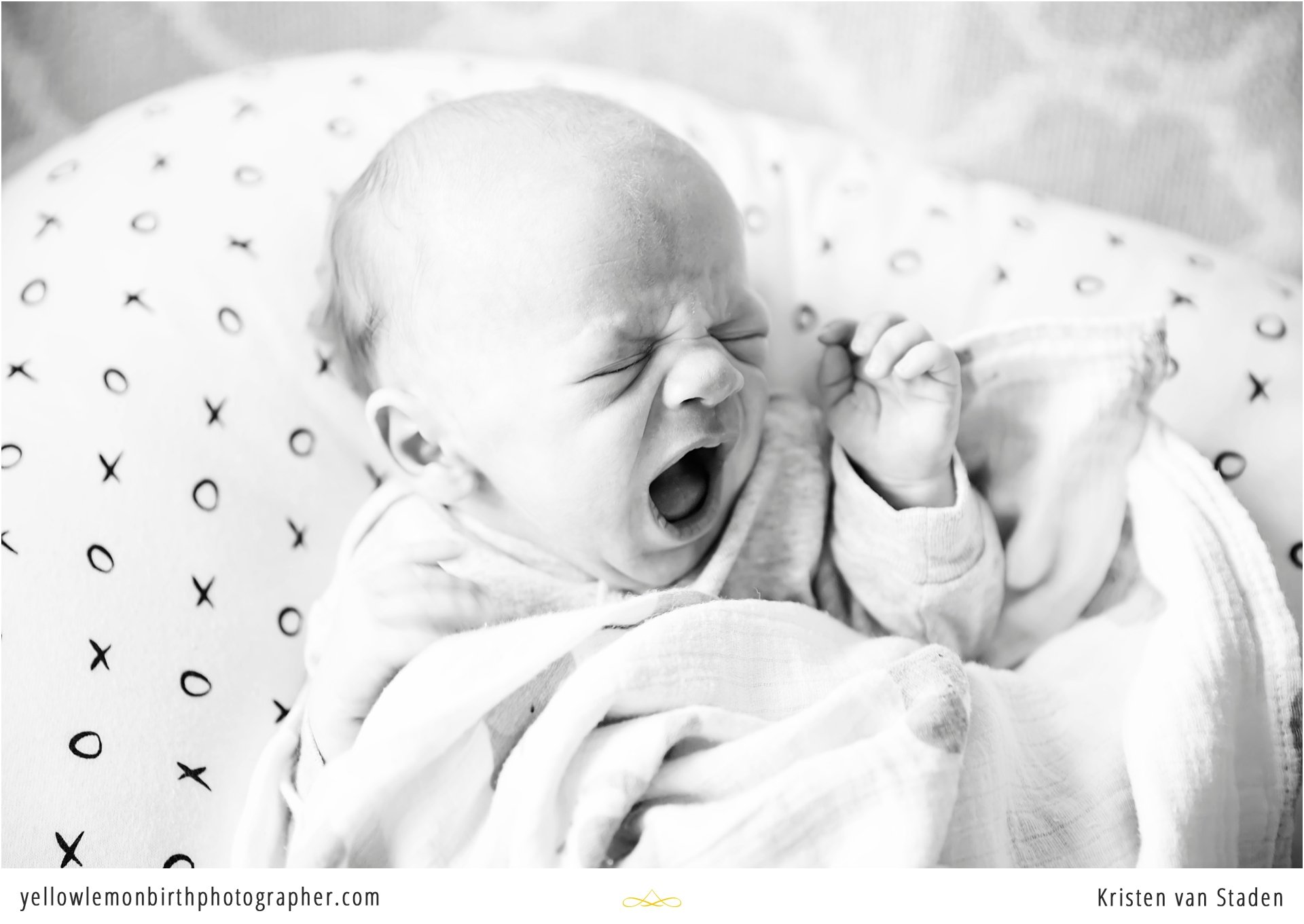 home newborn photo shoot cape town_0013.jpg