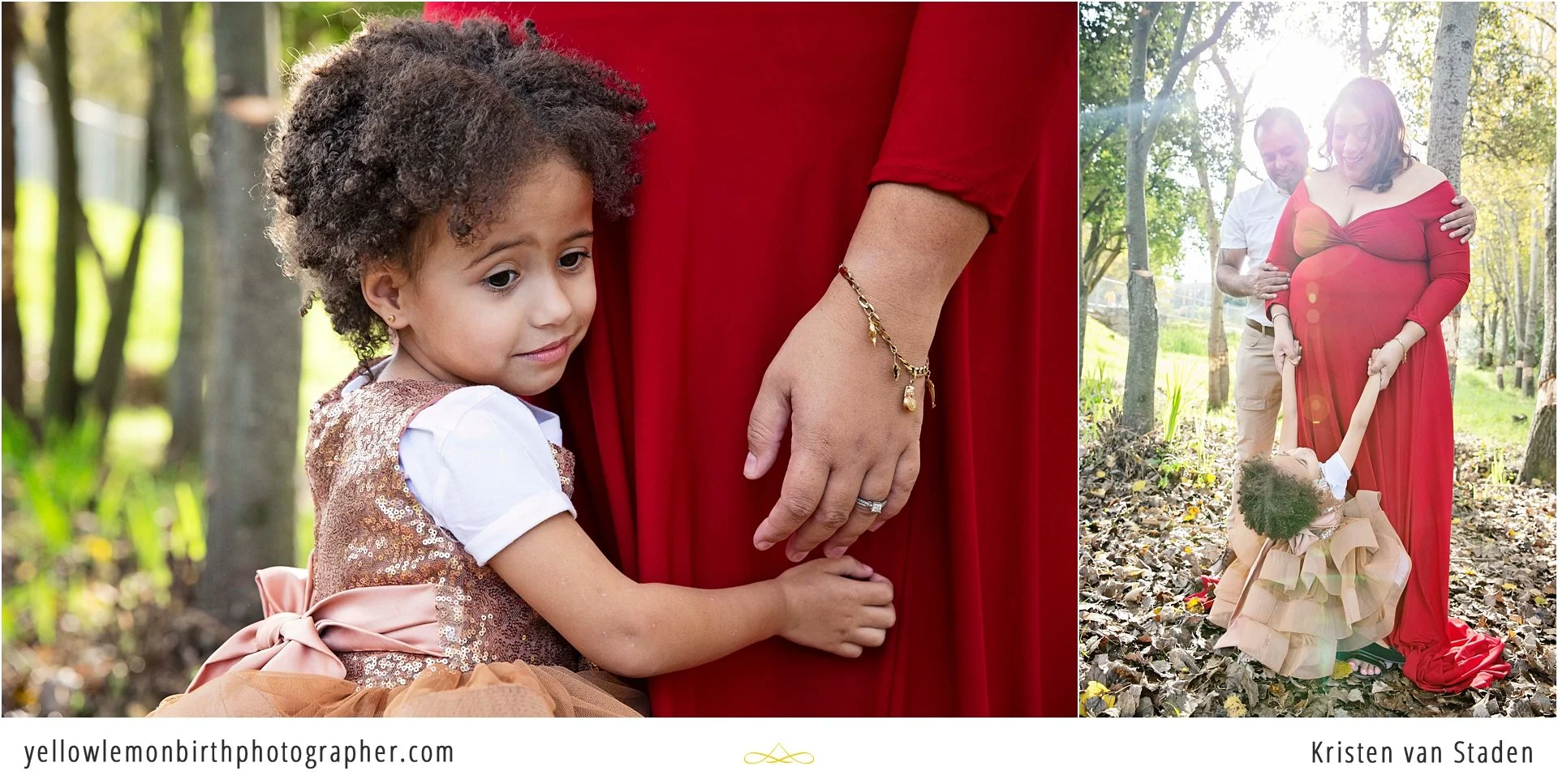 fairytale forest maternity session cape town__0006.jpg