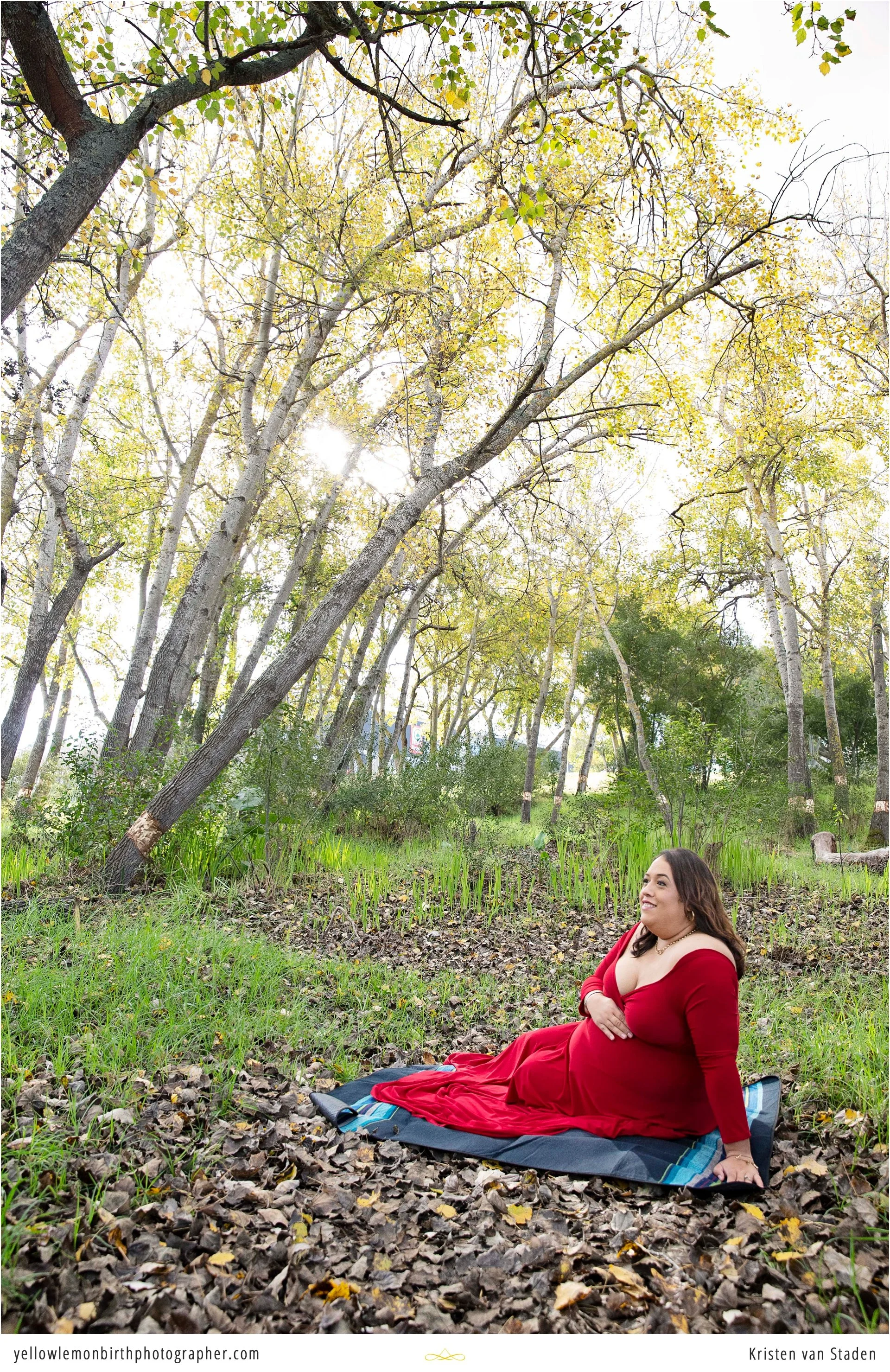 fairytale forest maternity session cape town__0007.jpg