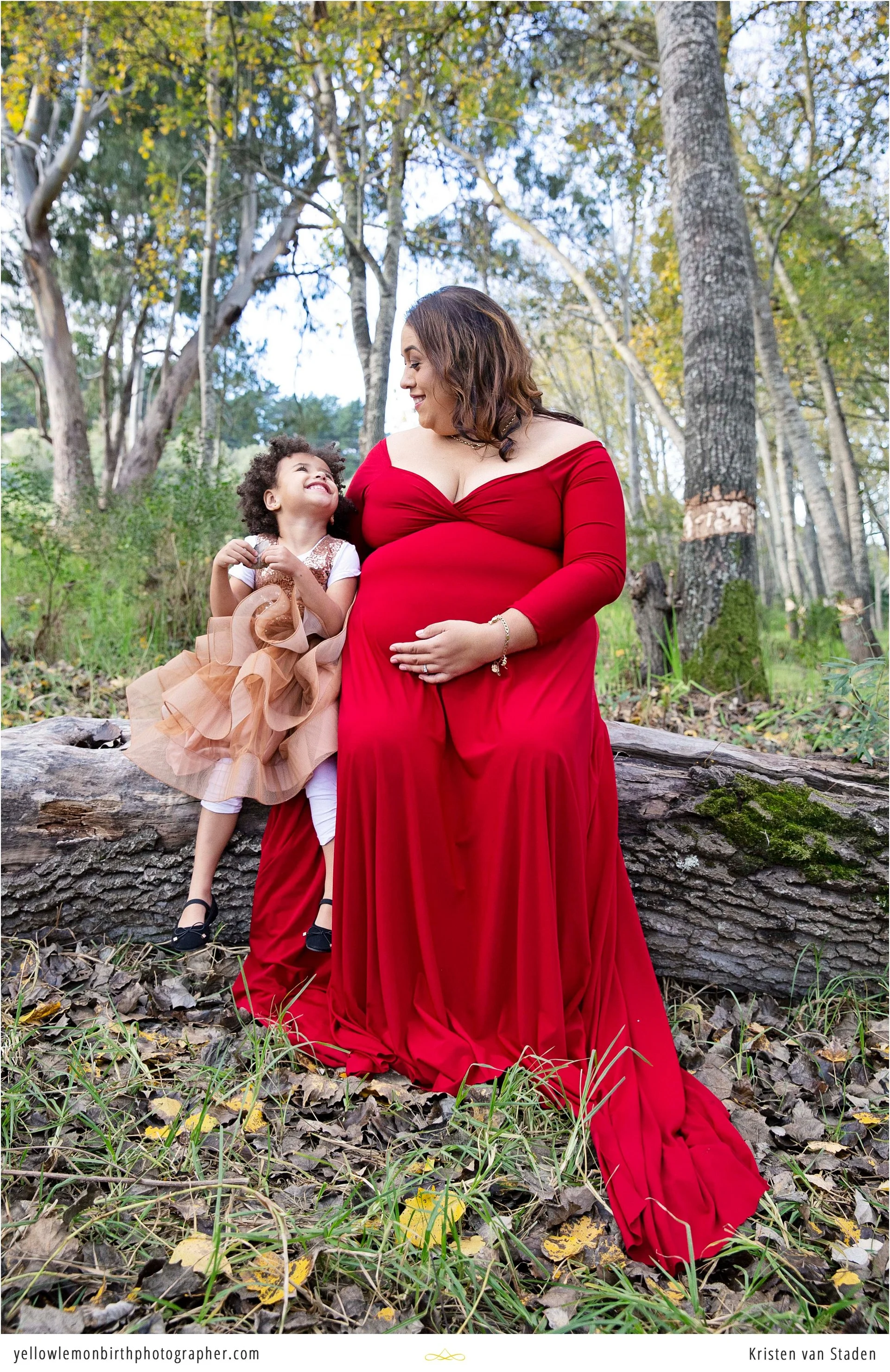 fairytale forest maternity session cape town__0012.jpg