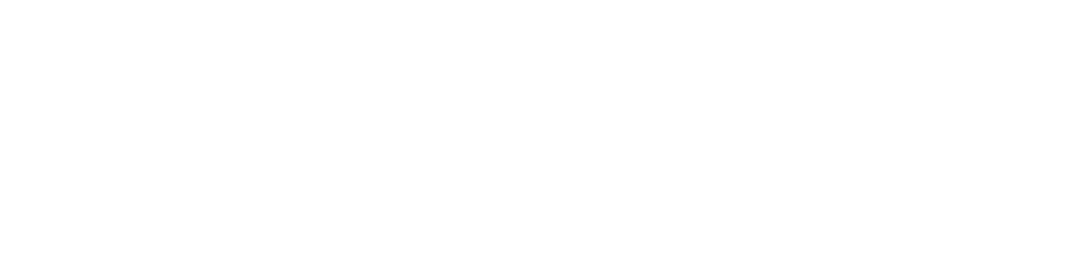 EJang Consulting