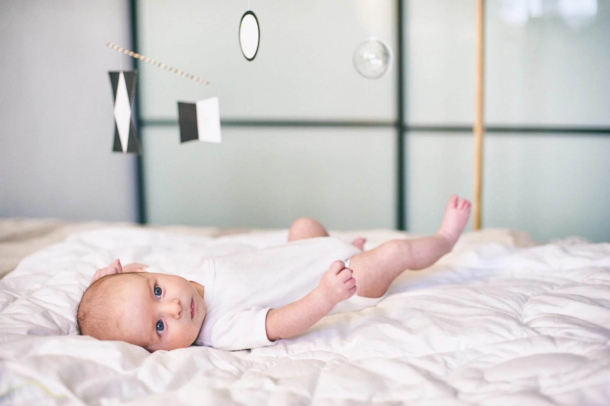 AdobeStock_199150182.jpg
