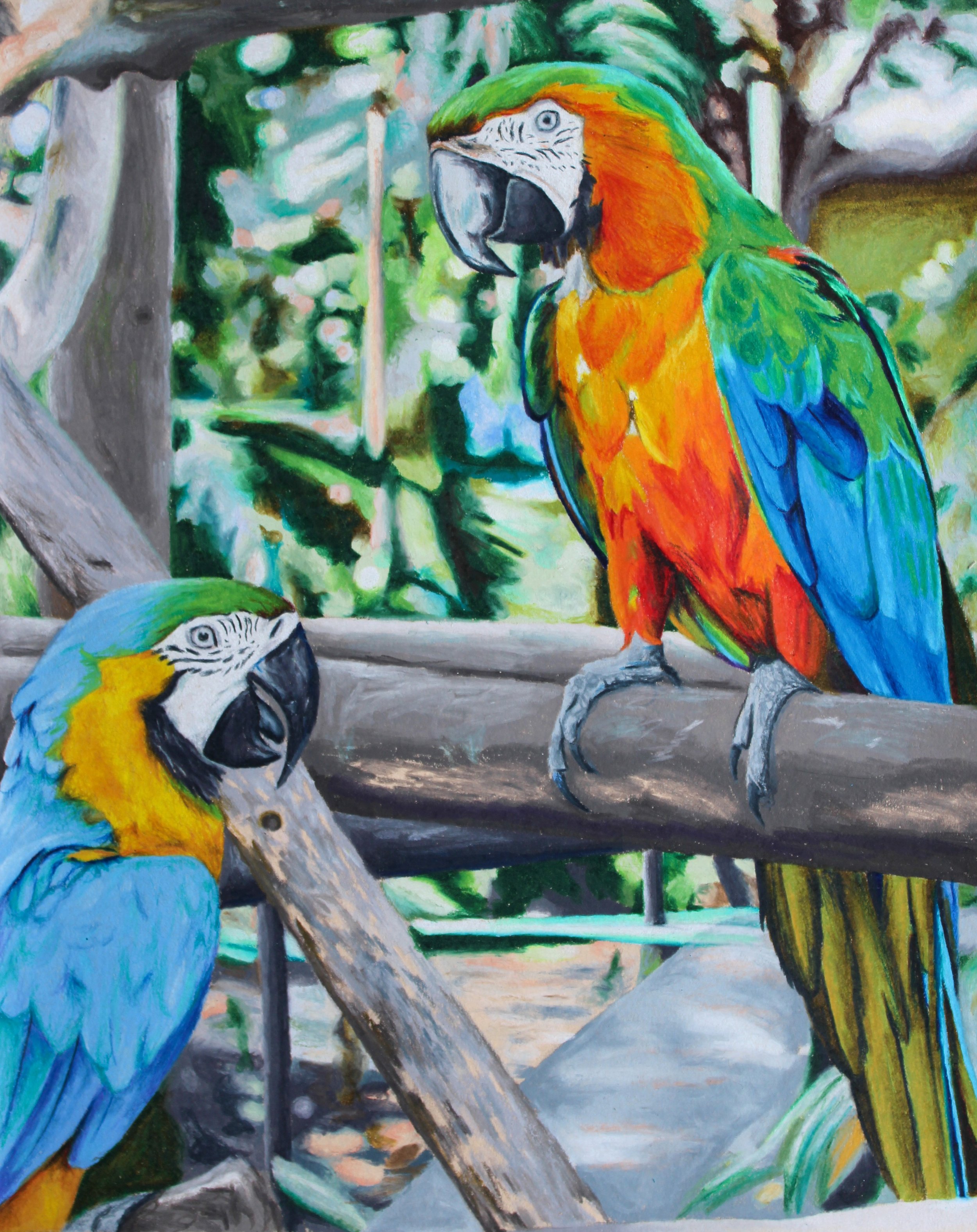 Birds of Paradise, print