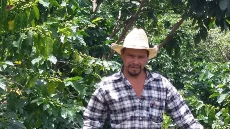 Honduran coffee grower wearing a straw hat among coffee trees