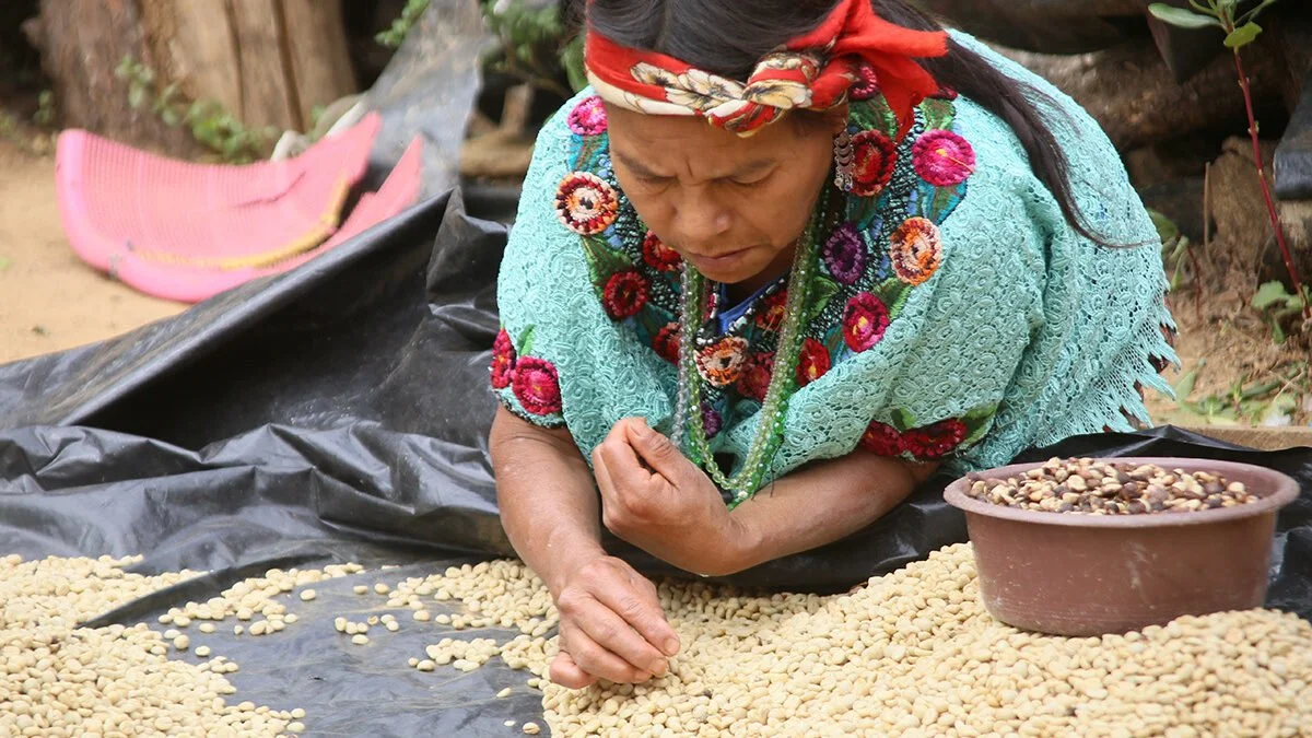 Guatemala — Baja Verapaz Cubulco