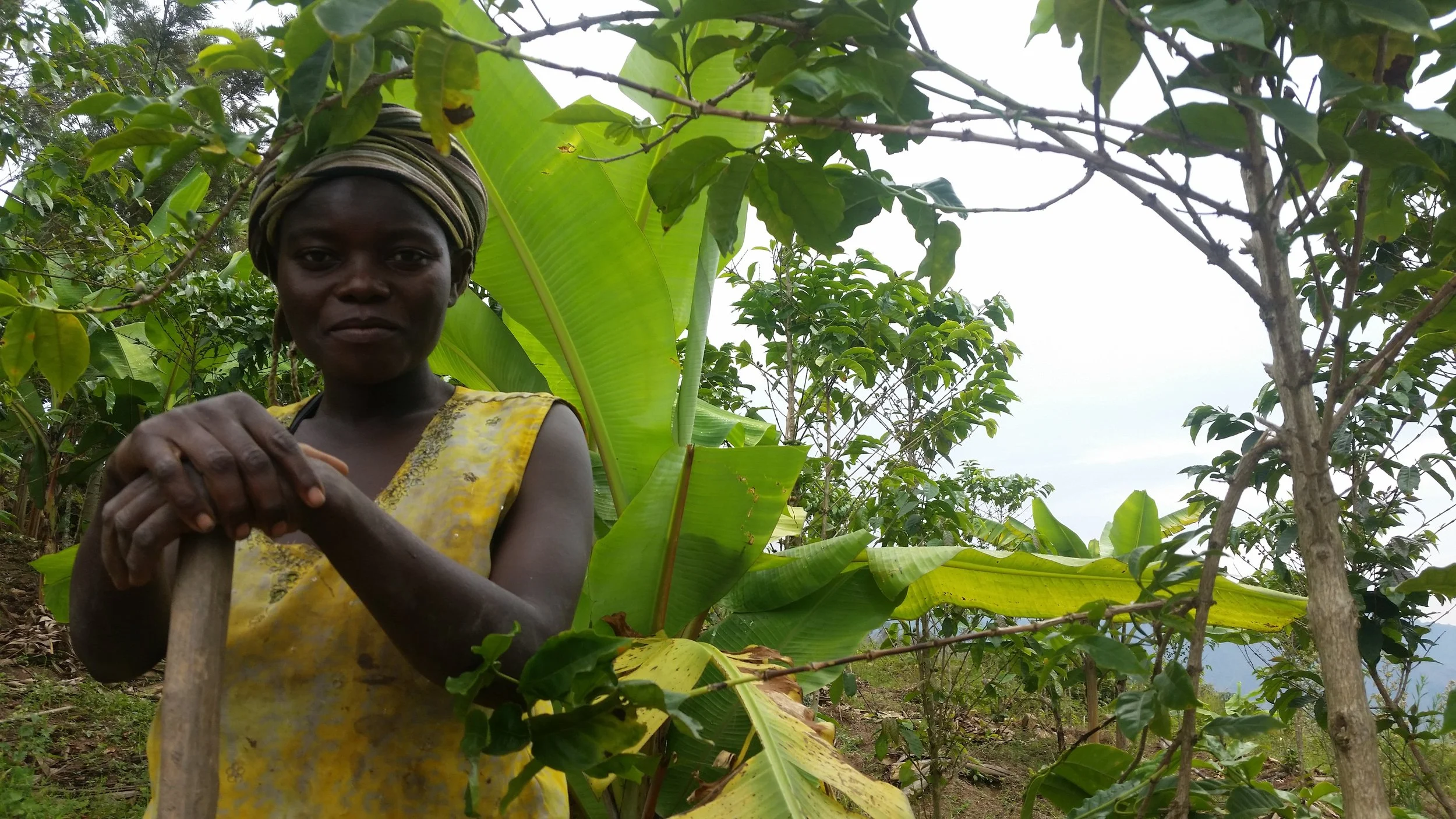 Democratic Republic of Congo — South Kivu
