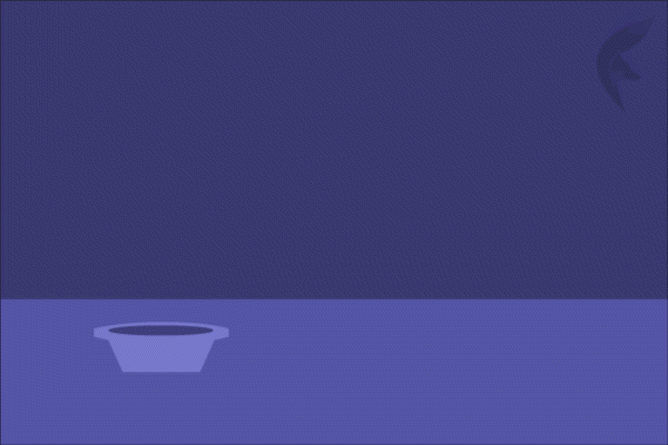 3-cat.gif