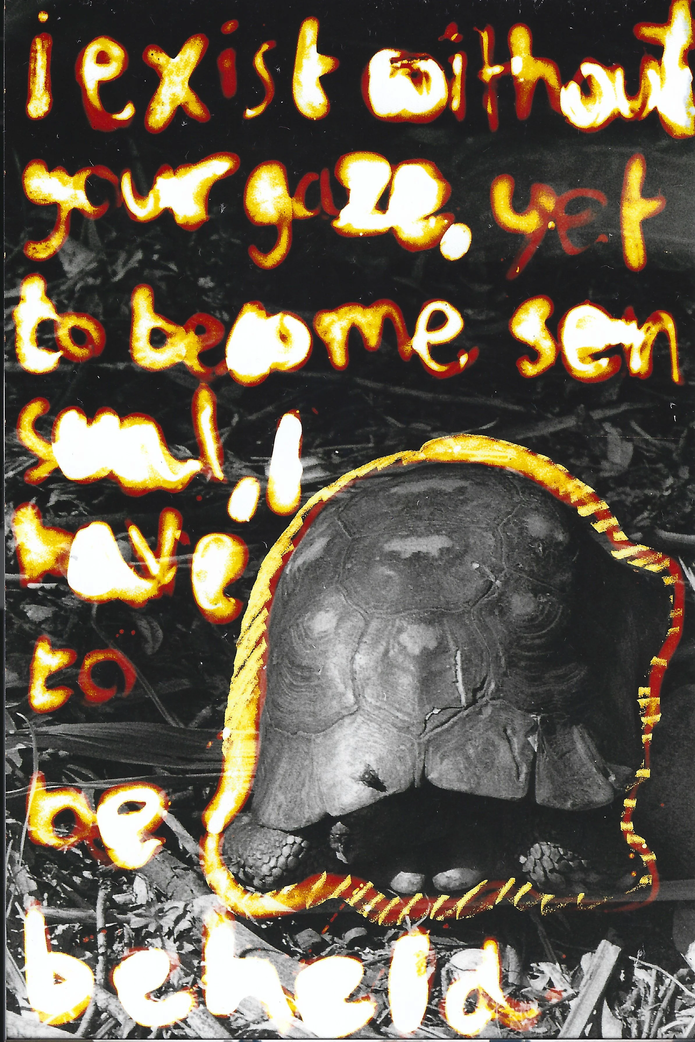 Scan 22.jpeg