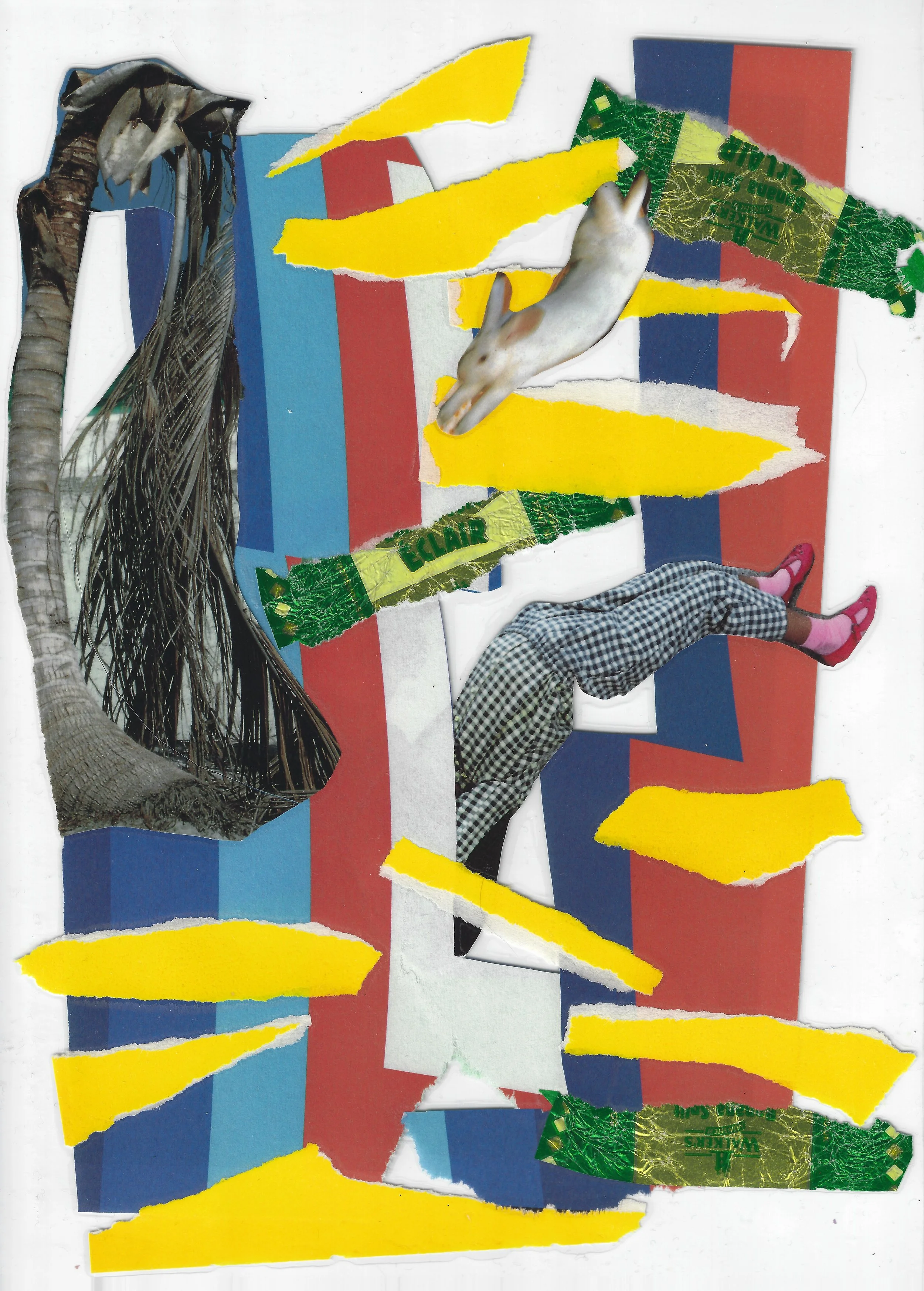 Scan+.jpeg