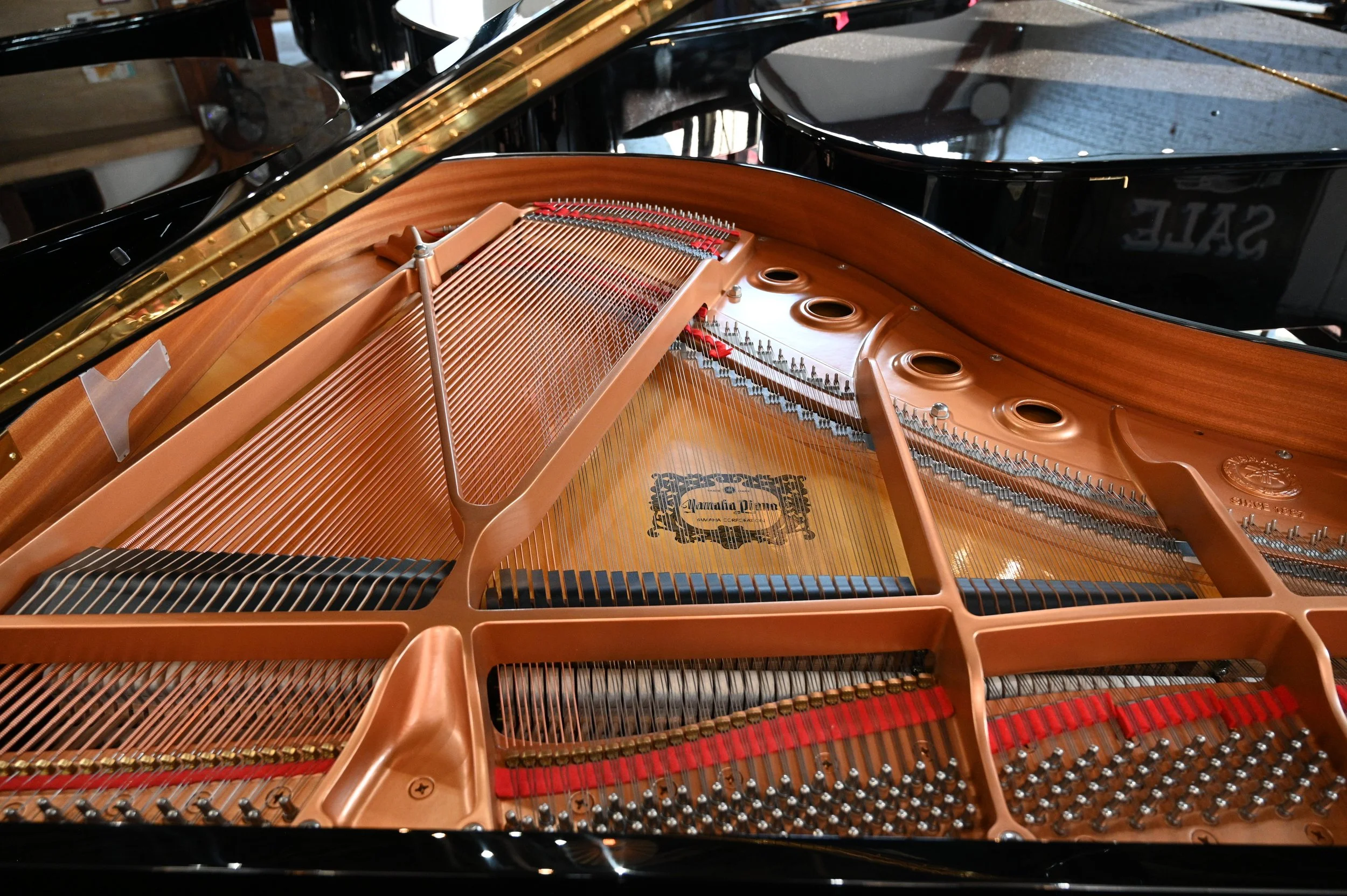 8. Front - Open Strings.jpg