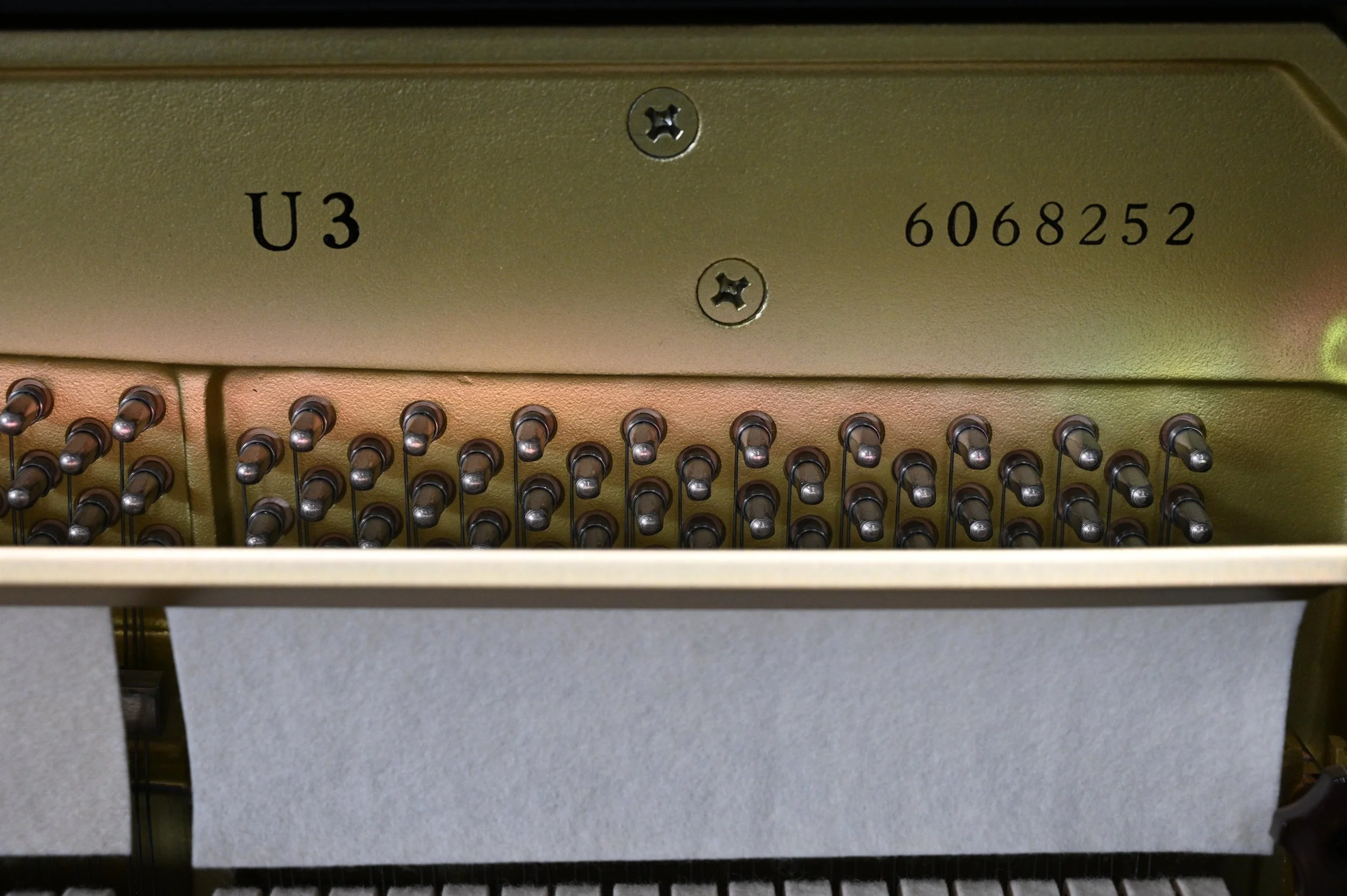 12. Serial Number.jpg