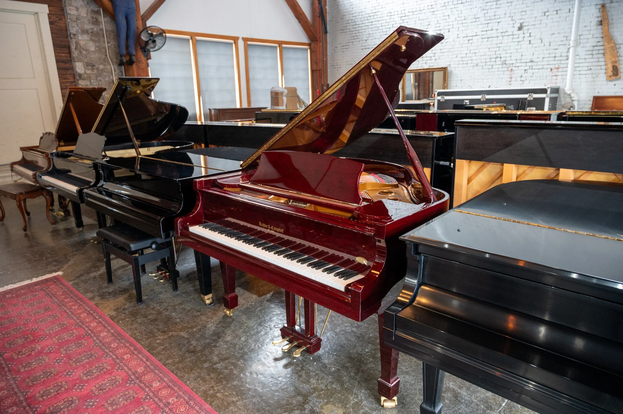 DSC_4847.jpg
