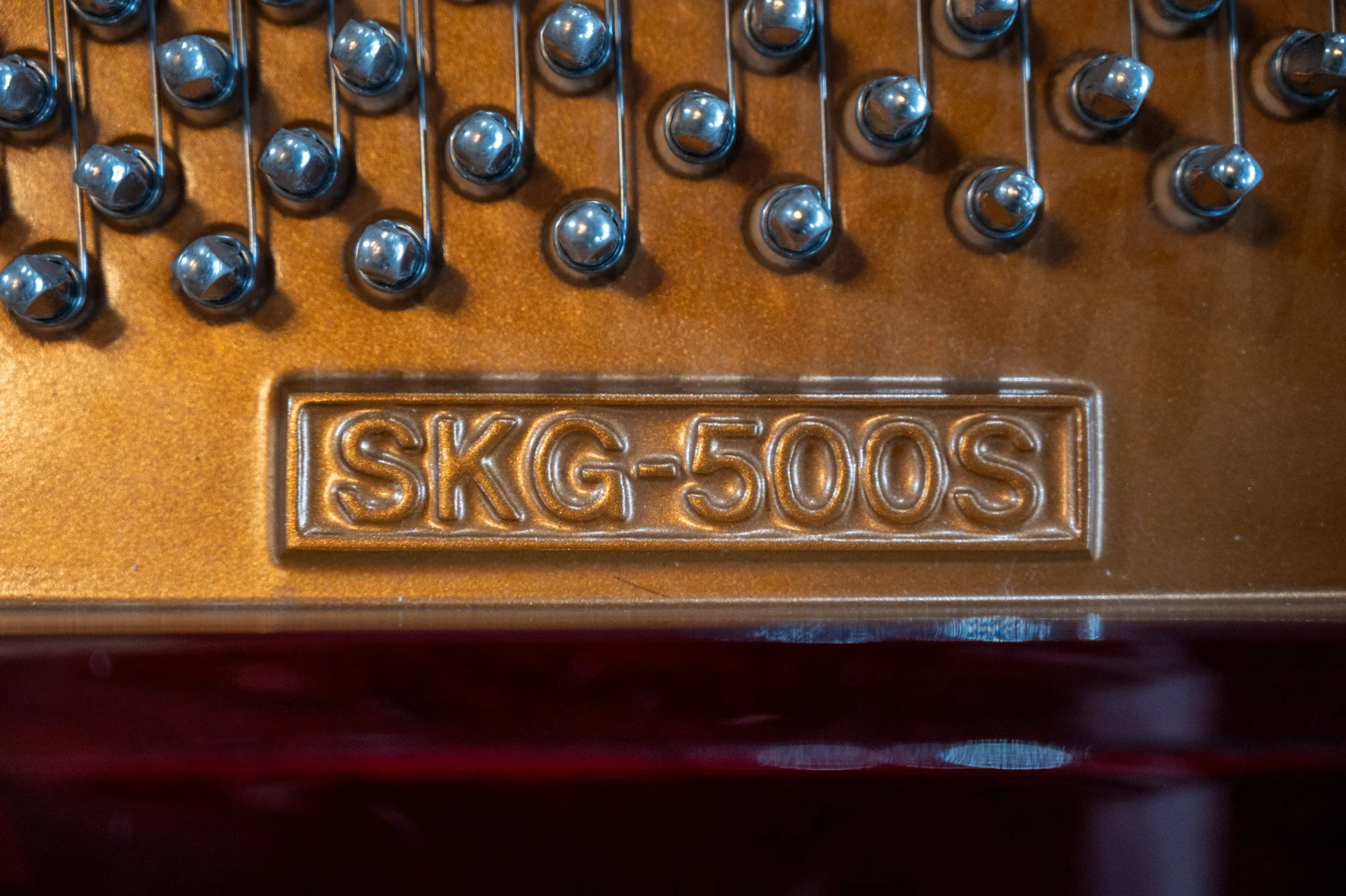 DSC_4874.jpg