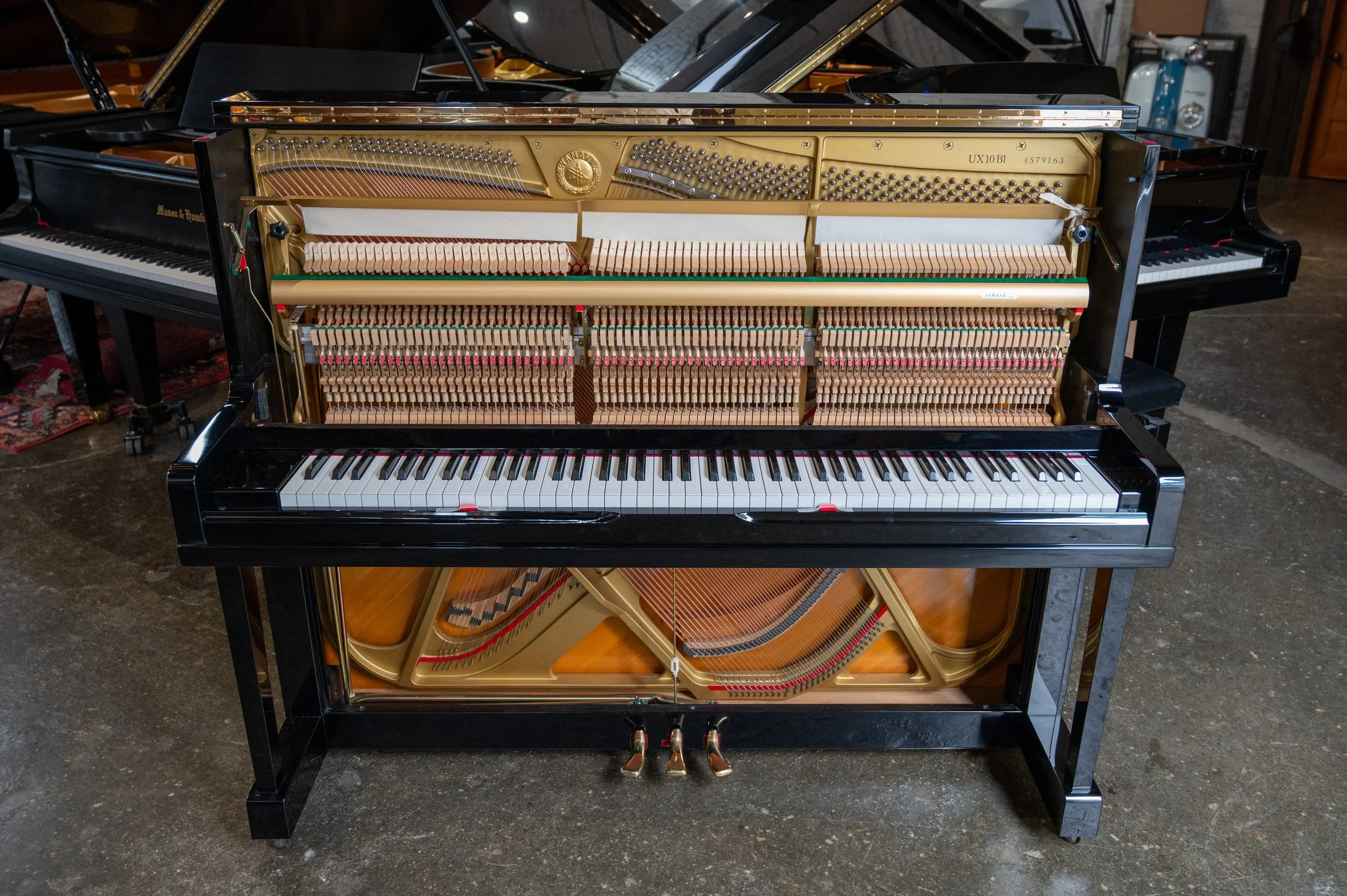 DSC_5011.jpg