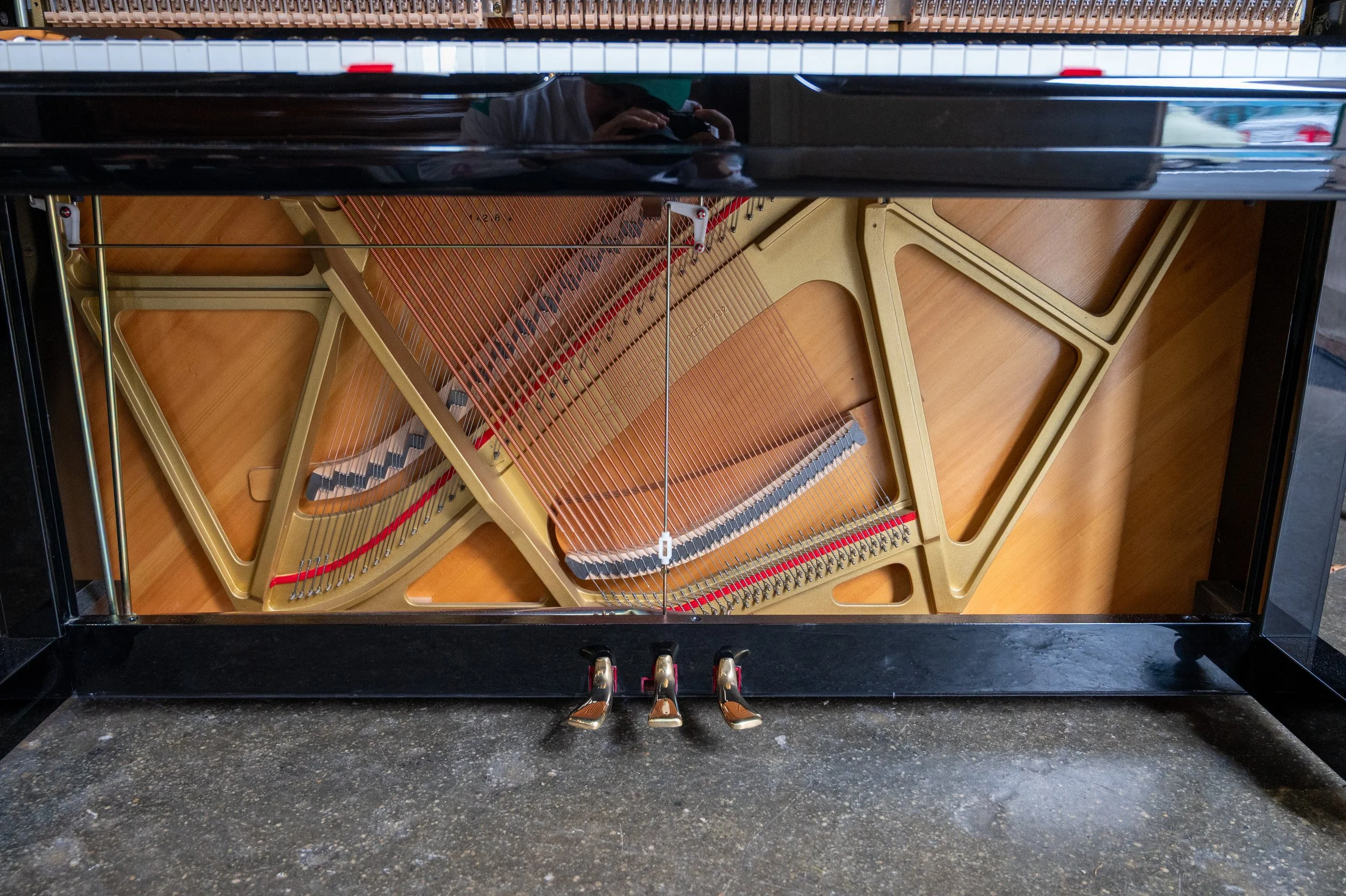 DSC_5056.jpg