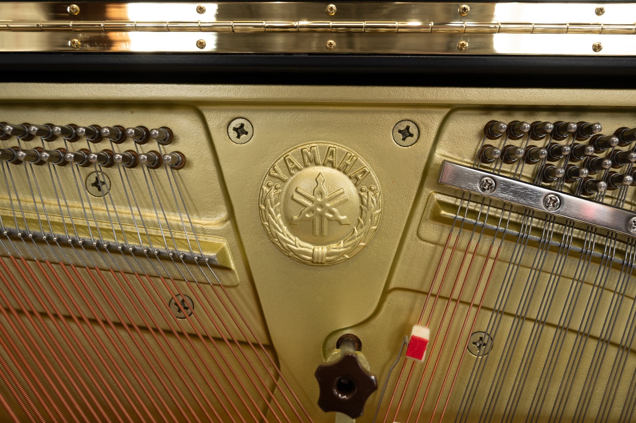 Yamaha-189.jpg