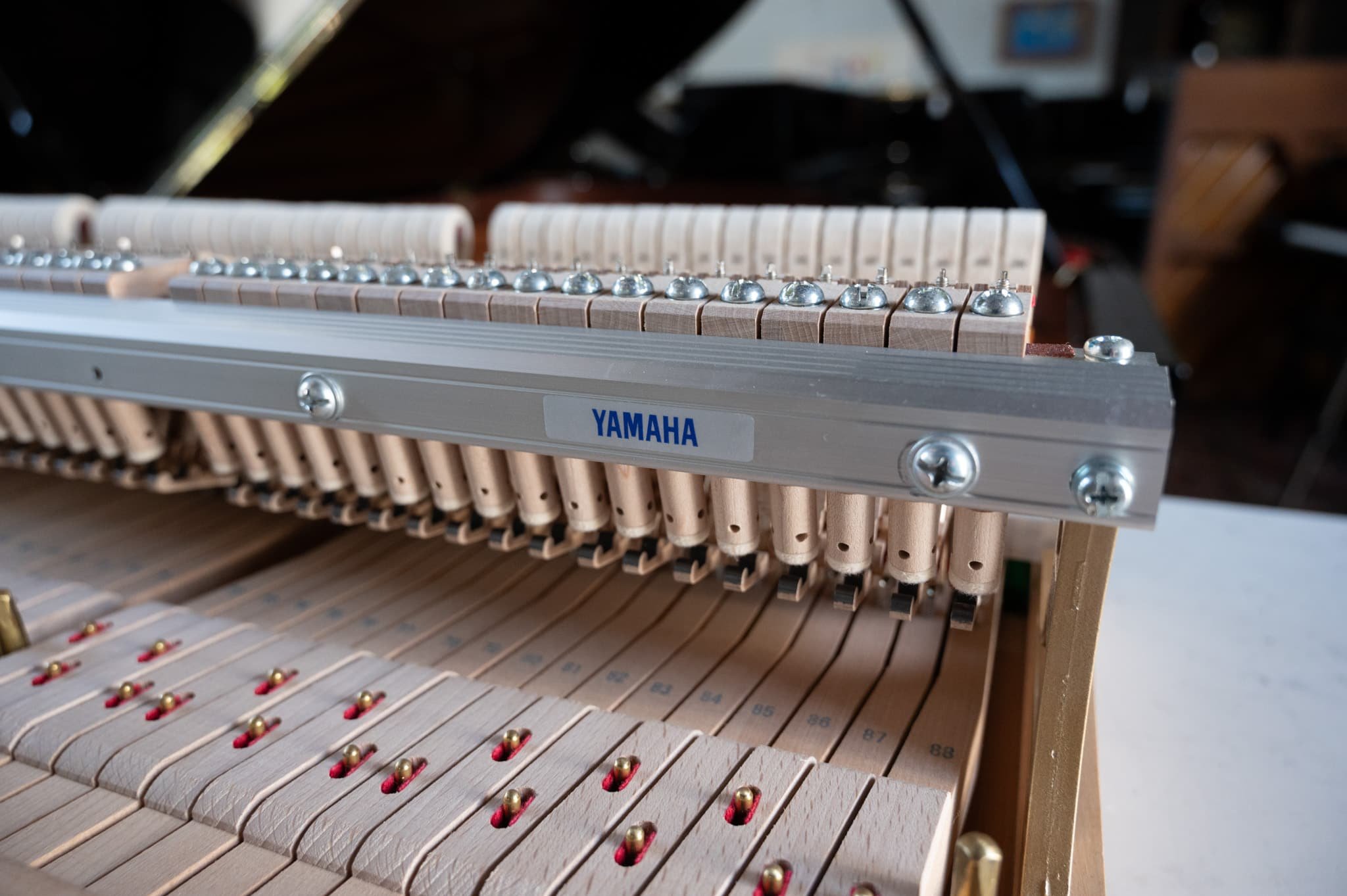 Yamaha-220.jpg