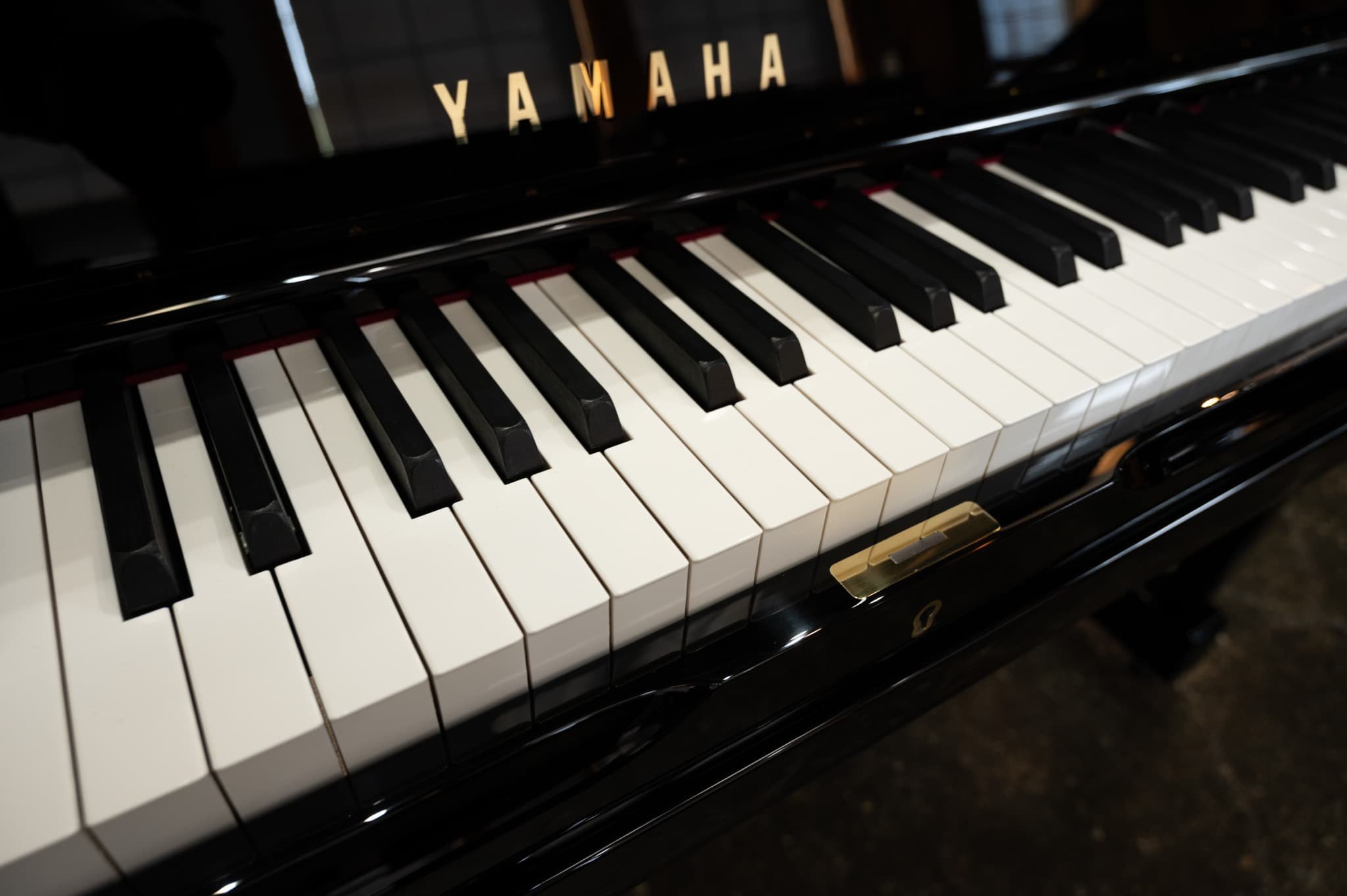 Yamaha-101.jpg