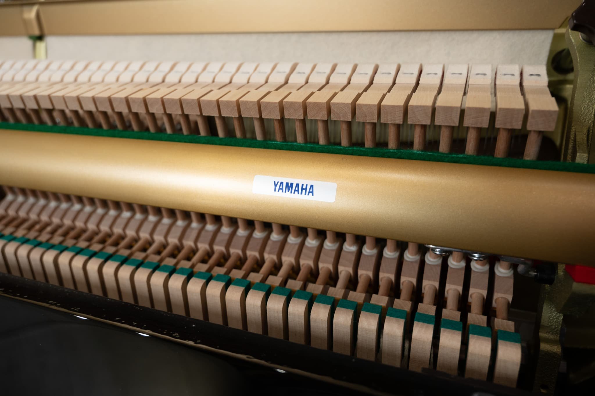 Yamaha-150.jpg
