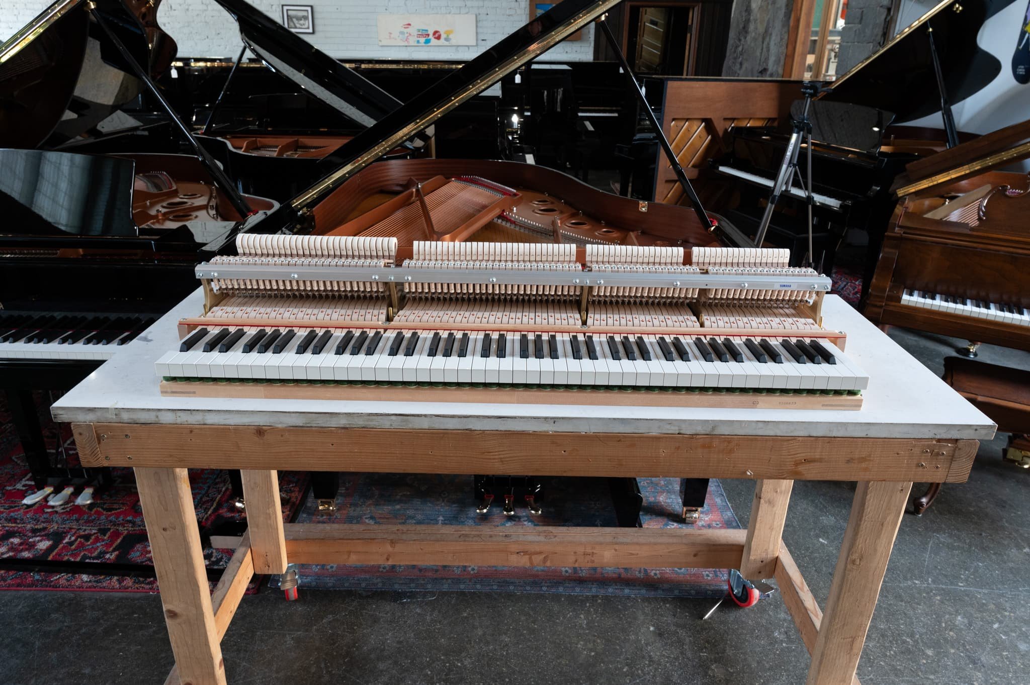 Yamaha-221.jpg