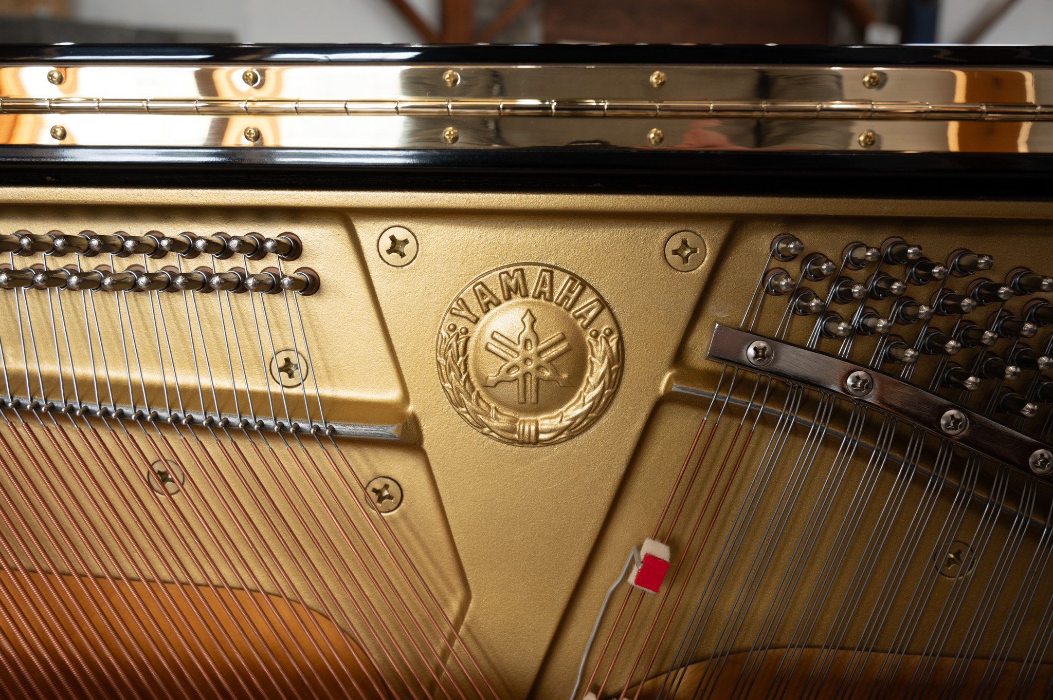 Yamaha-164.jpg