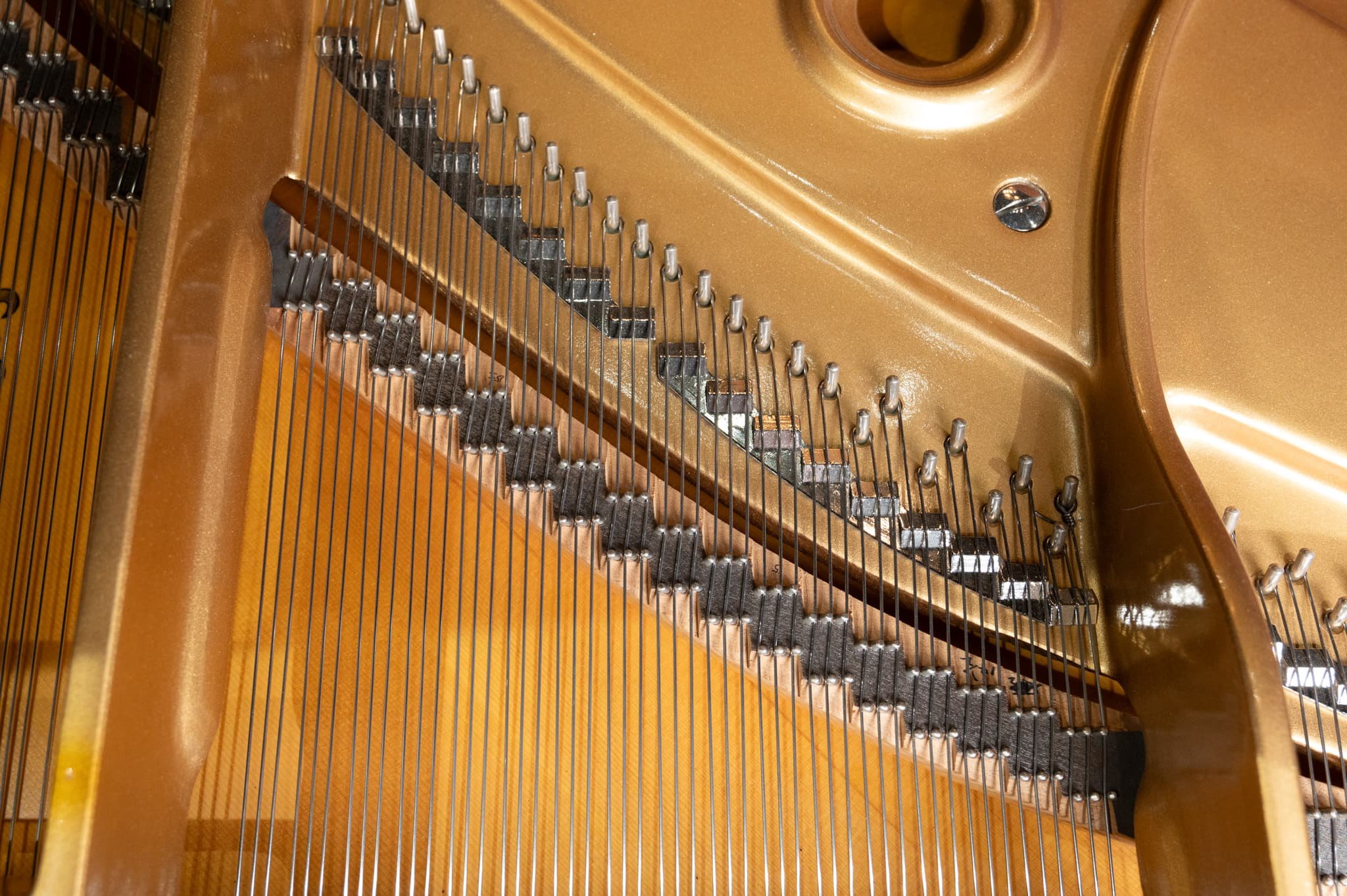 Yamaha C3-41.jpg