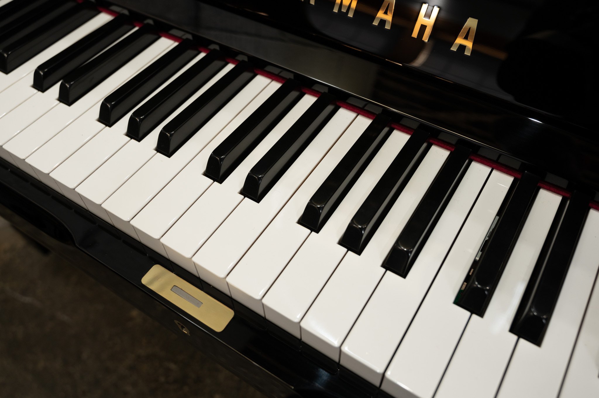Yamaha-088.jpg