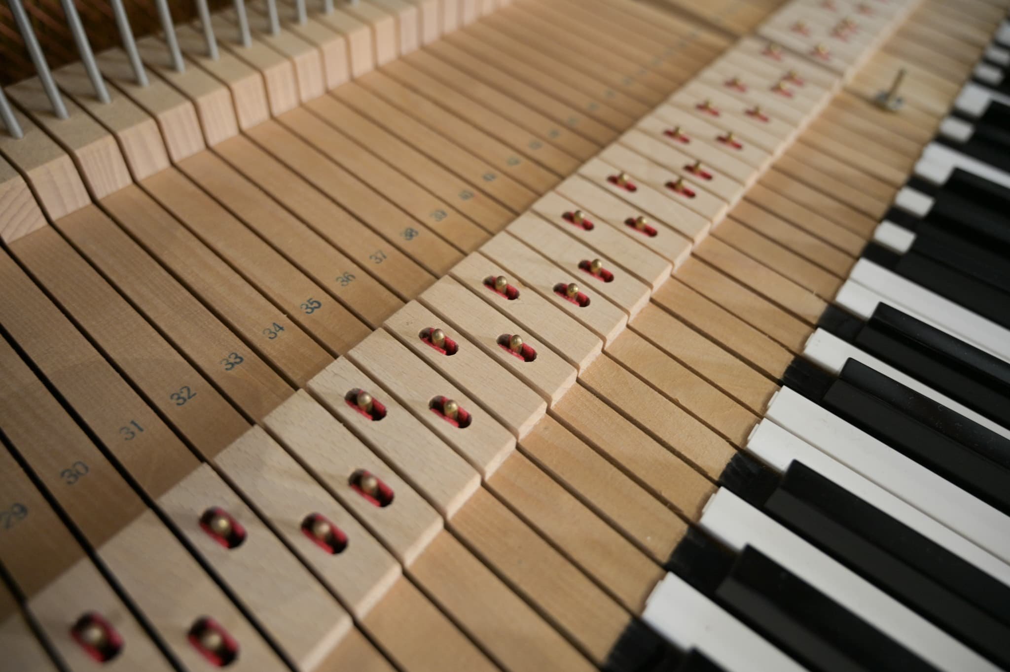 YAMAHA YUS3 SG Silent-08.jpg