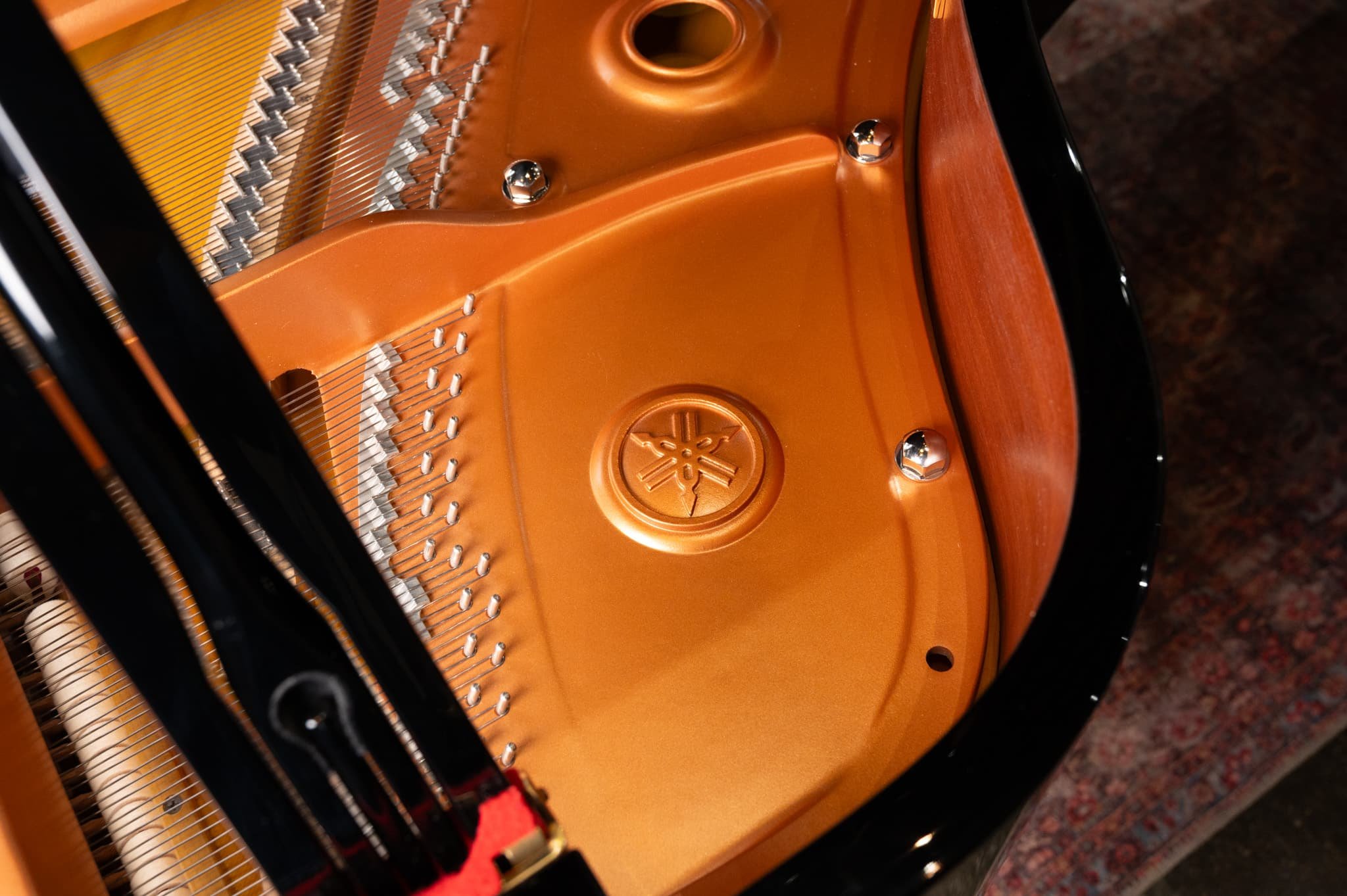 Yamaha-160.jpg