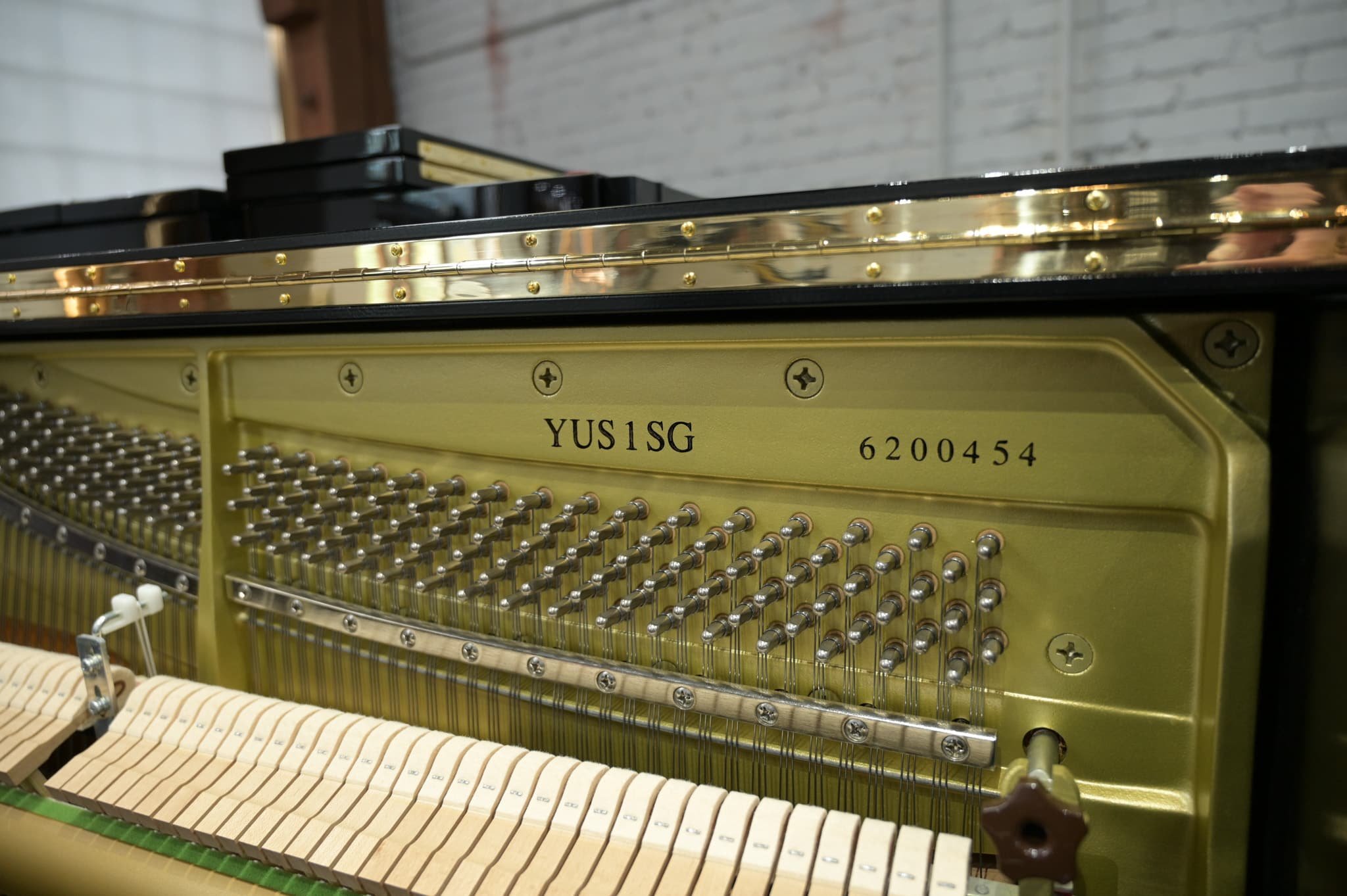 YAMAHA YUS1 SG -12.jpg