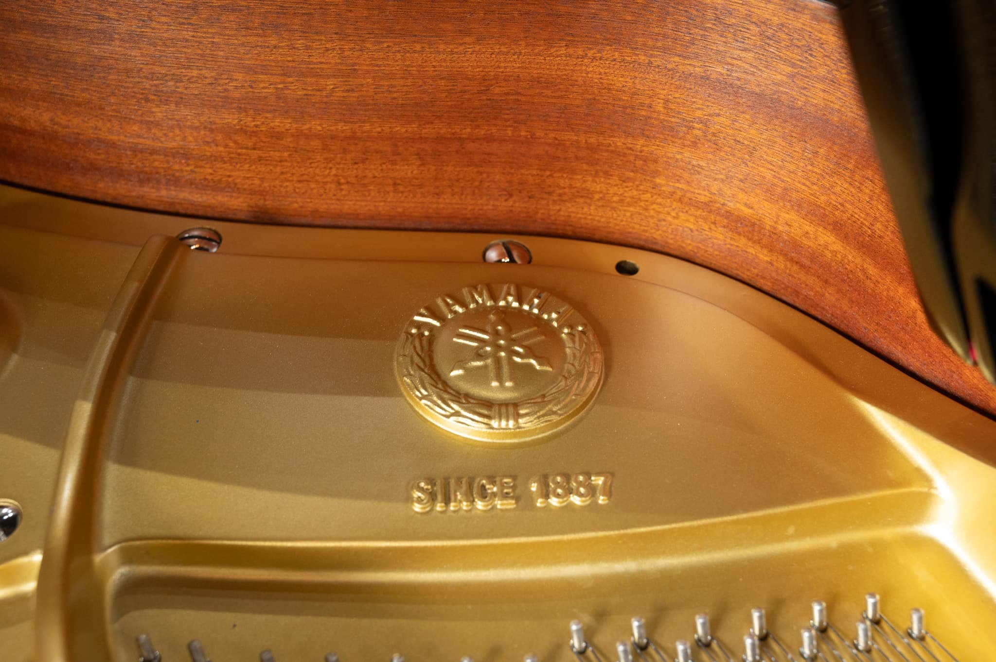 Yamaha -039.jpg