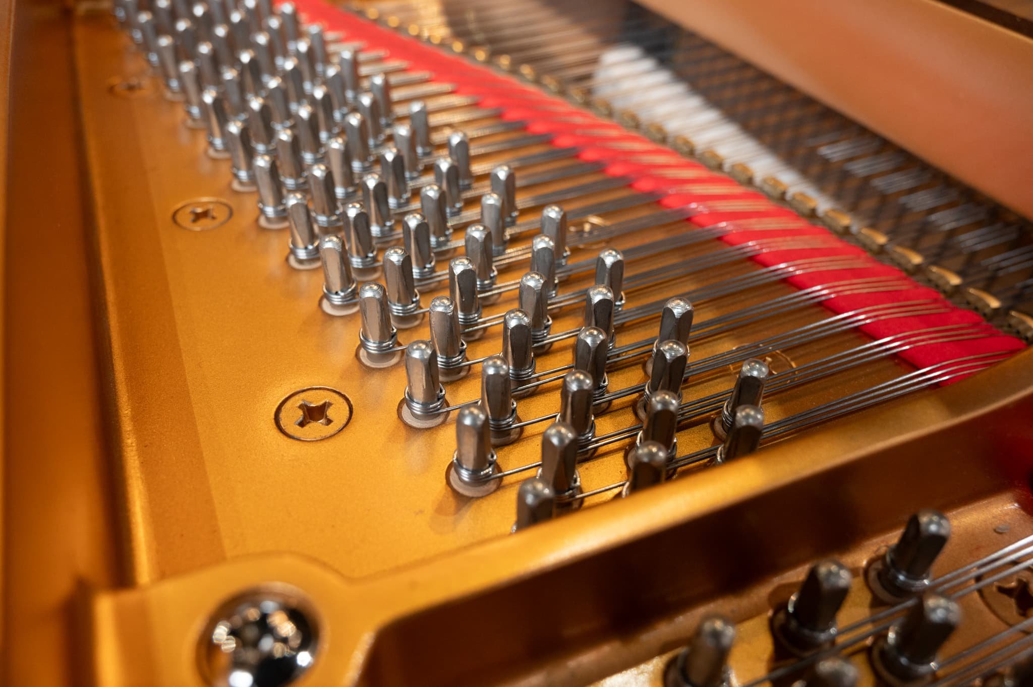 Yamaha-40.jpg