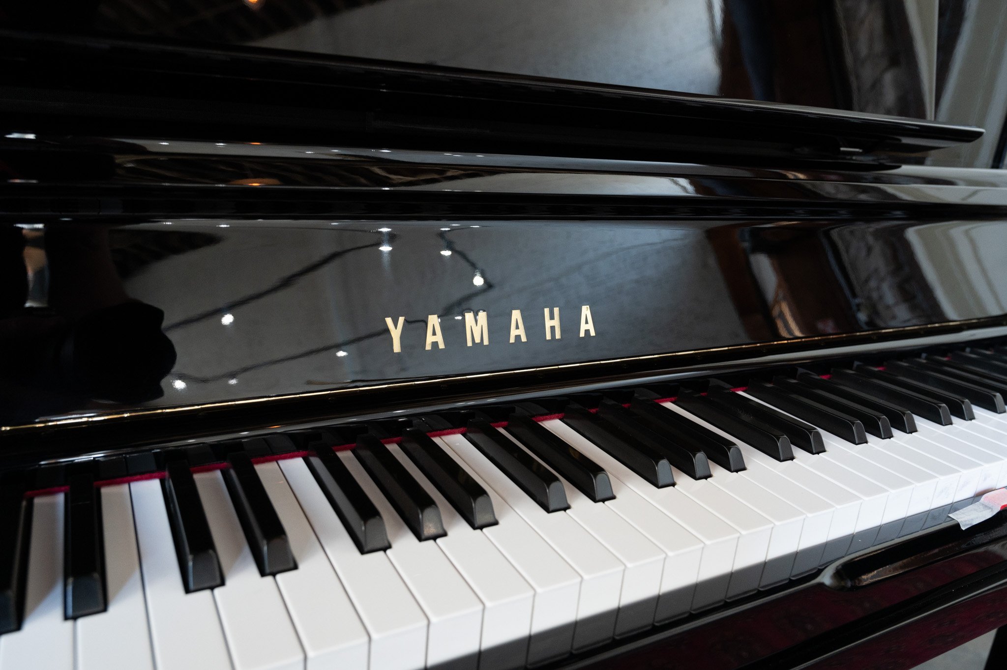 Yamaha-11.jpg