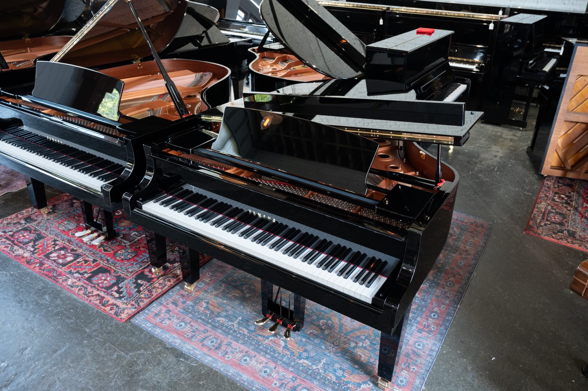 Yamaha-213.jpg