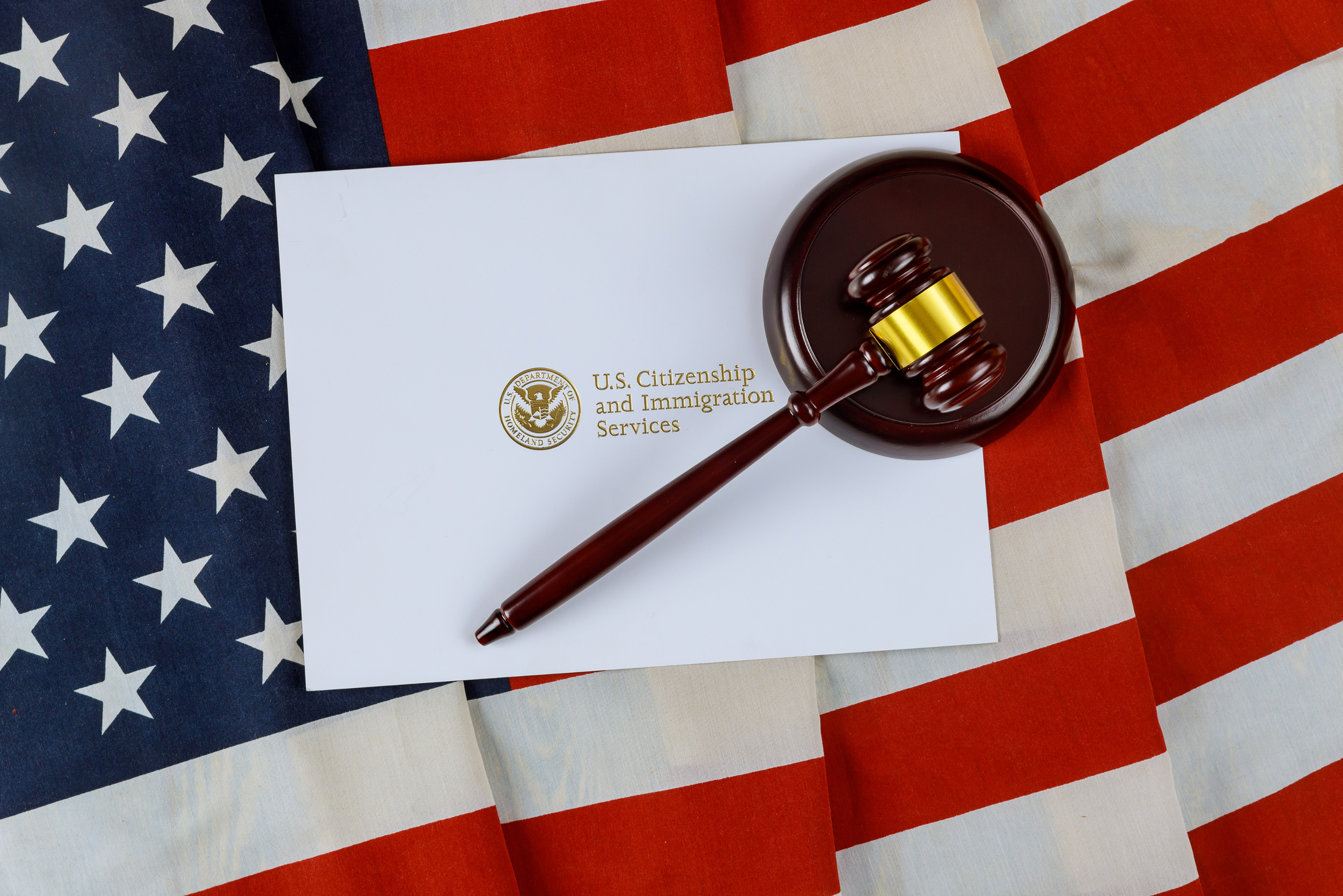 U.S. Immigration Law for Evaluators