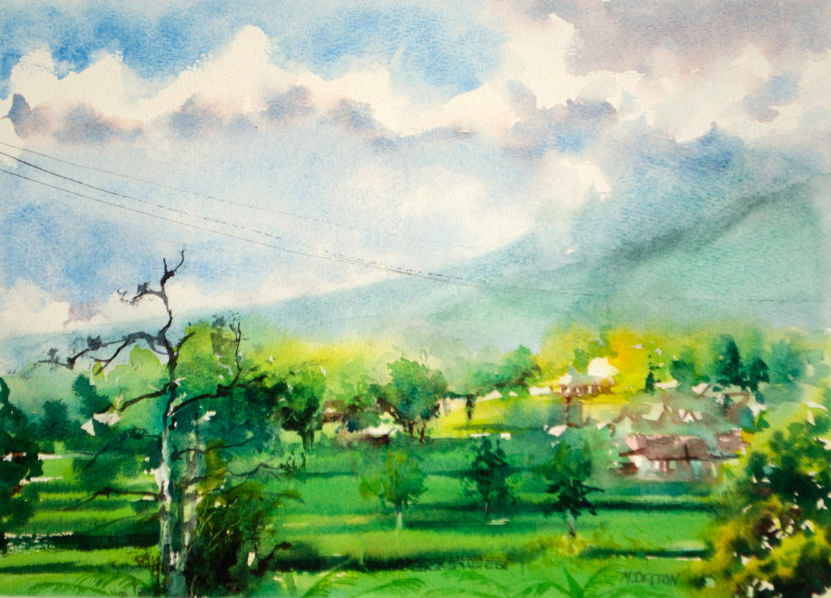 highway-greenery2.png