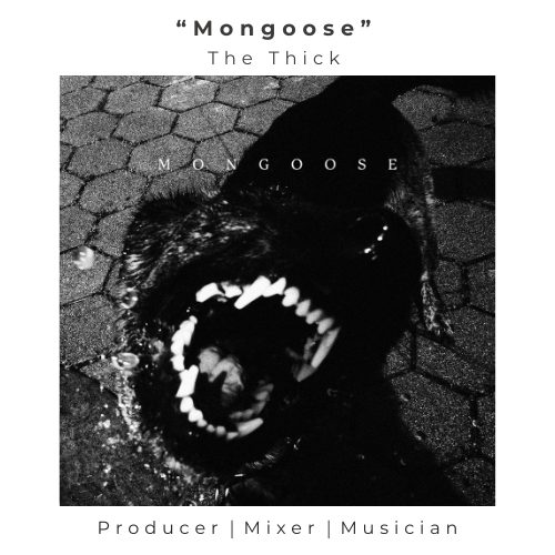 The Thick_Mongoose_Website.png