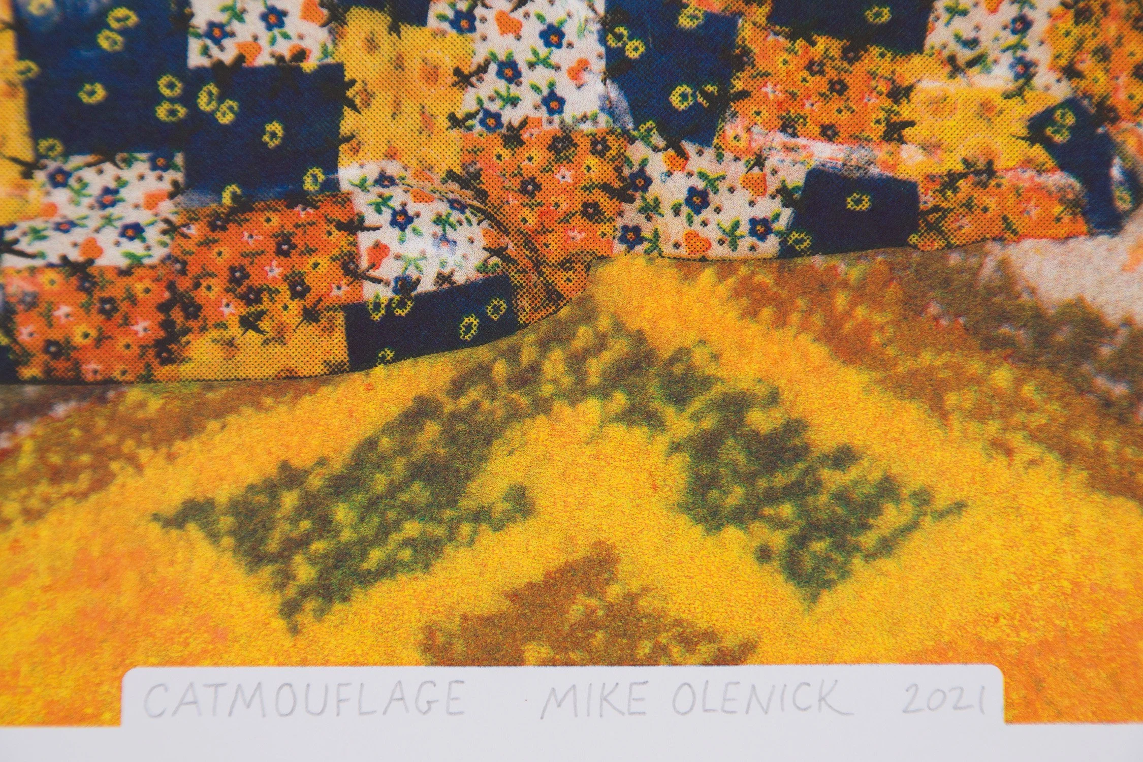 IMG_1842_Catmouflage RISO Detail 2_SM 1500.jpg