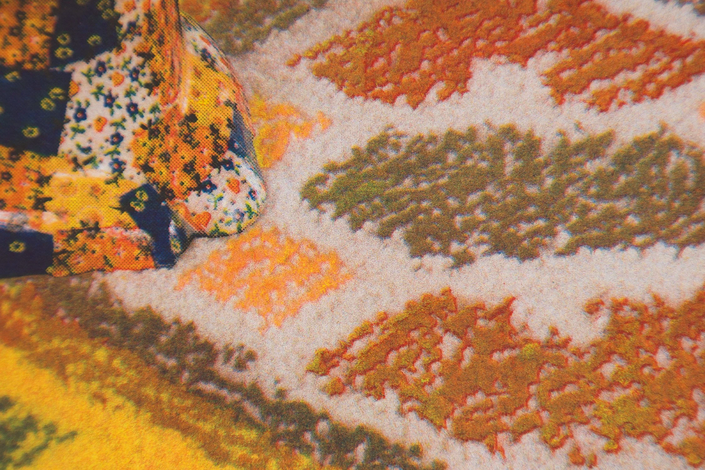 IMG_1842_Catmouflage RISO Detail 3_SM 1500.jpg