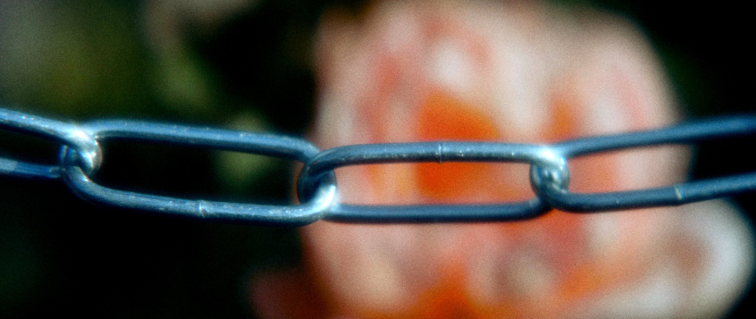 PBT_124_Chain in Park.jpg