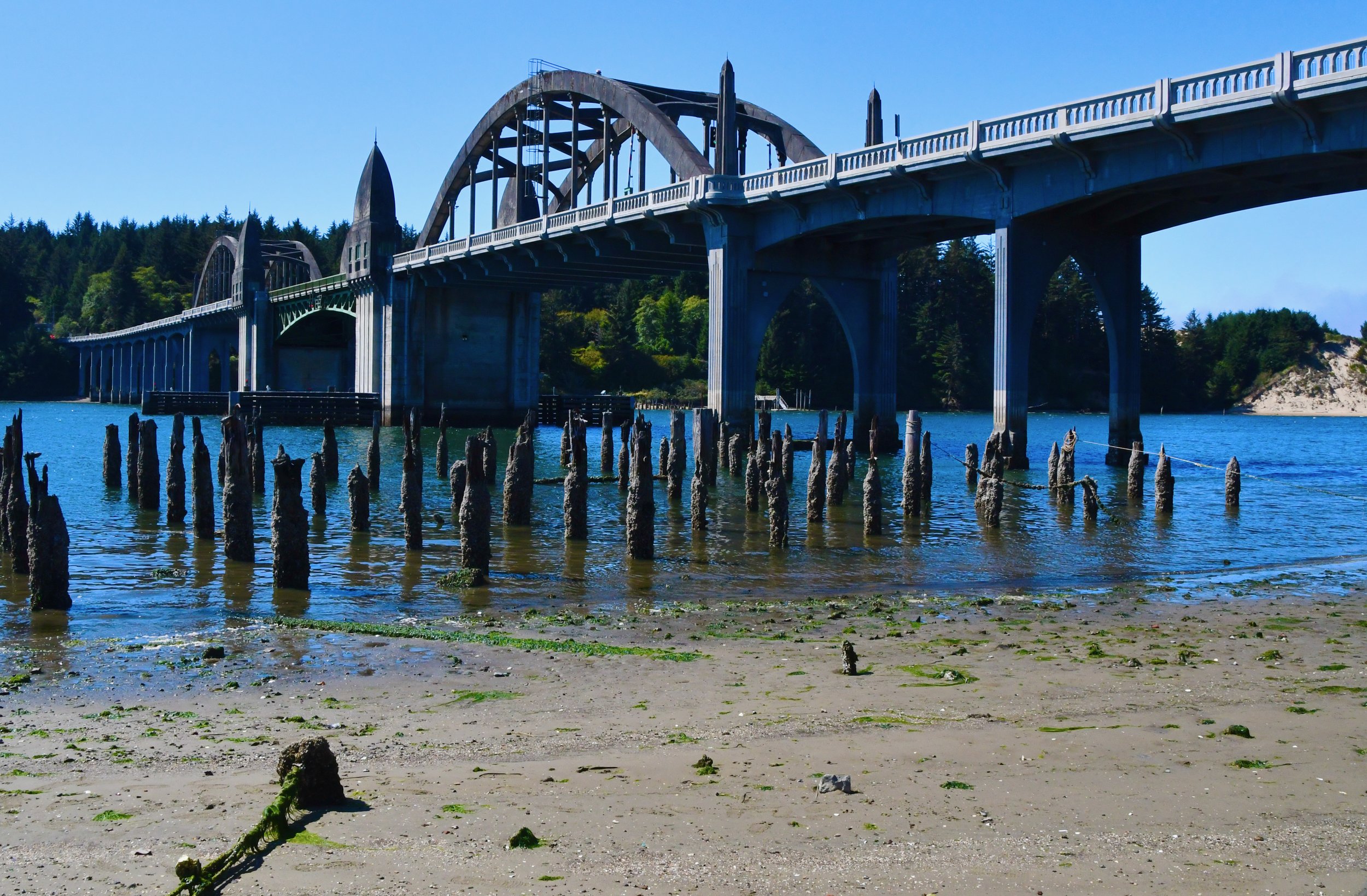 Florence McCullough Bridge.jpeg