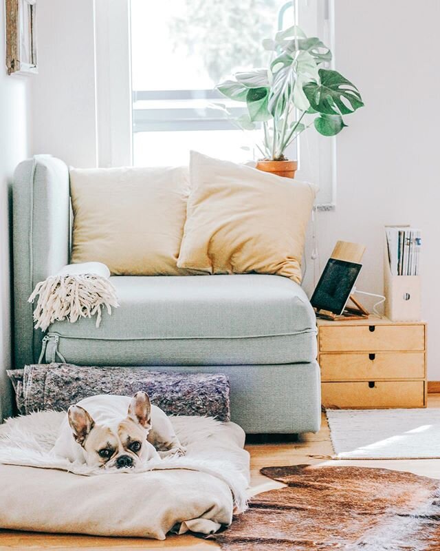 Post things that speak to your 🤍 and brand!!! Nothing is better than a cozy corner with a pup 😍 .
.
.
.
#RealEstate #Realtor #Broker #ForSale #MillionDollarListing #HomeSale
#Property #Properties #Investment #Home #Listing #NAR #JustListed #realest
