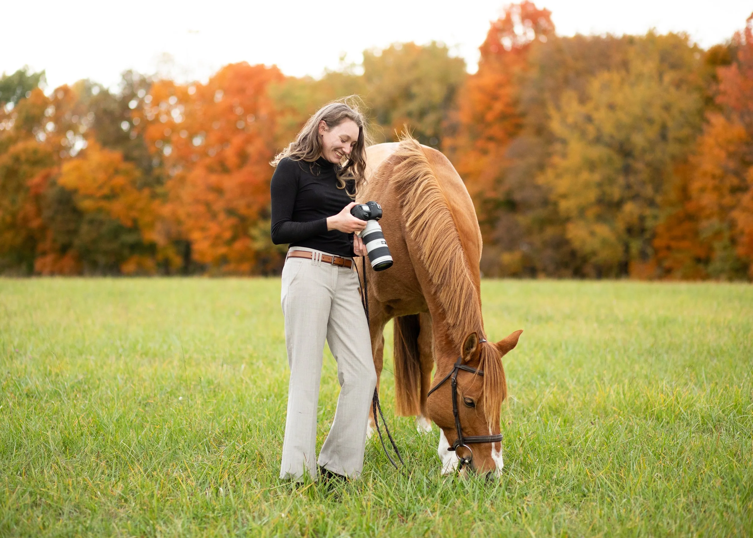 Why You Should Hire an Equine Photographer
