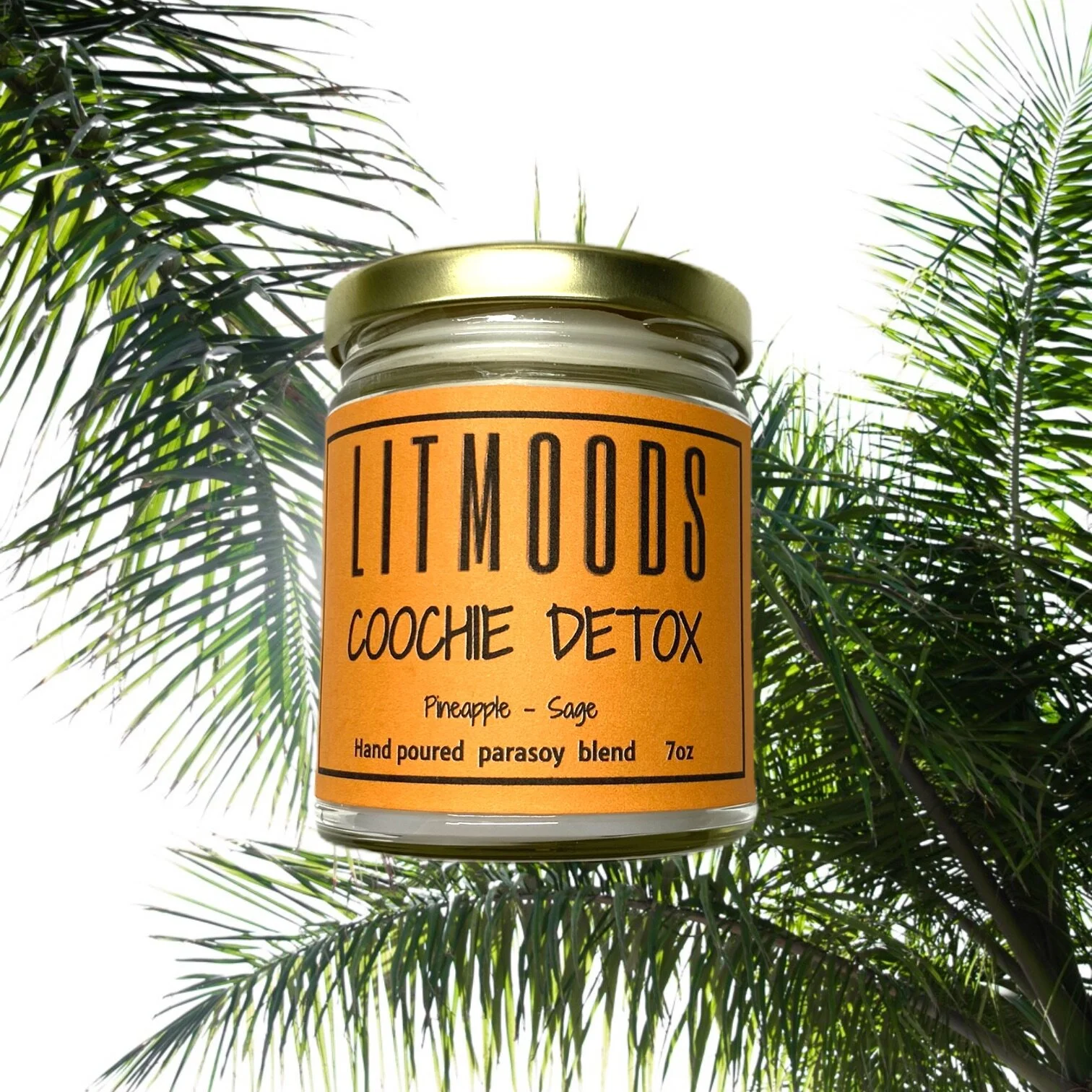 CFC8C505-91C8-4BA4-9D79-FFD214108858