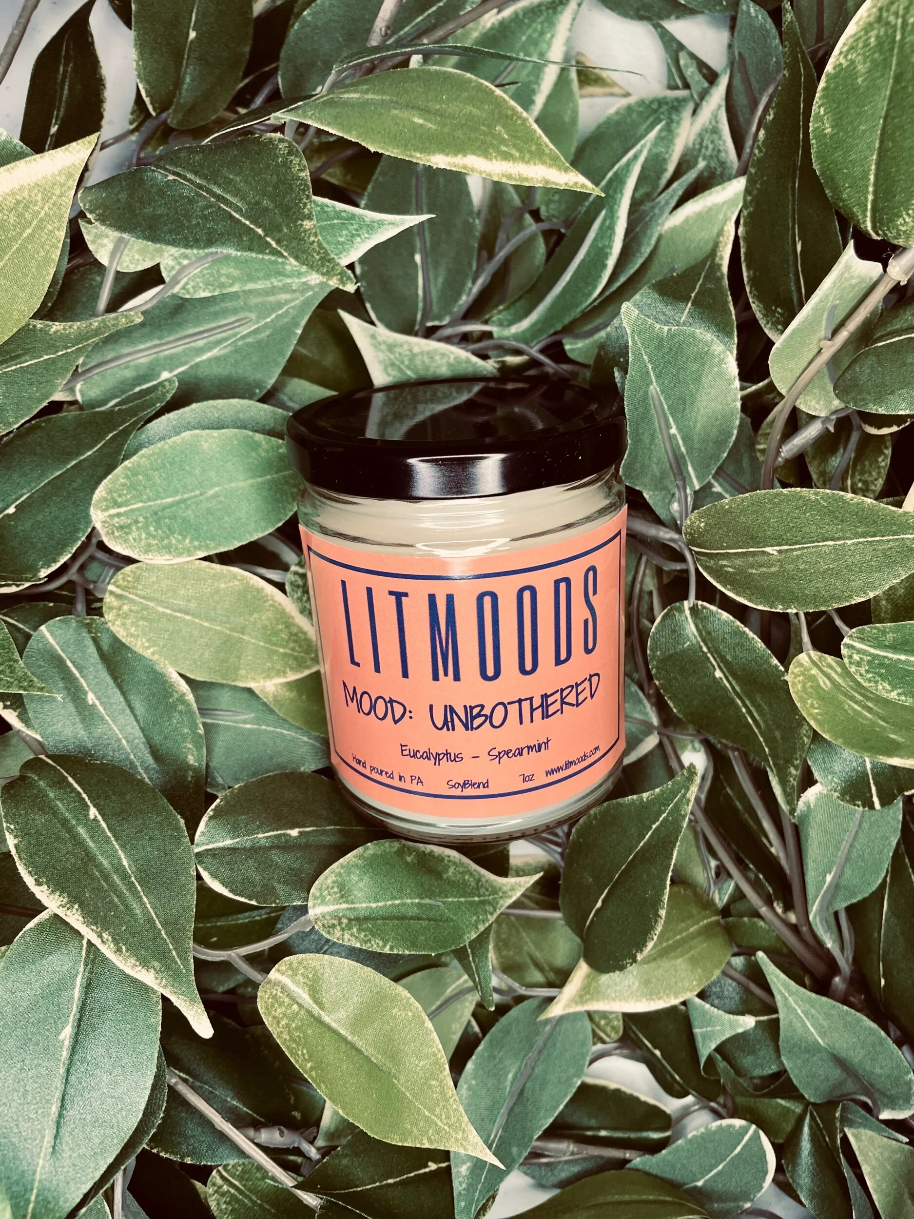 5EE8680C-A784-4DCF-91A6-305FC5E1A326