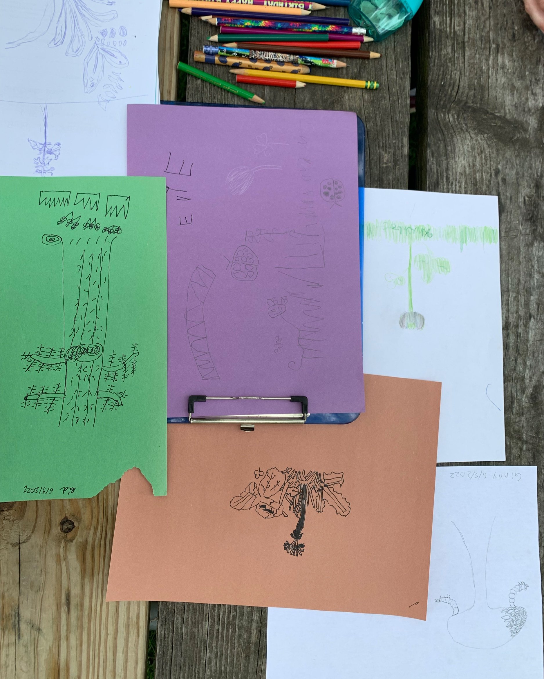 Discussing our sketching from Nature end of the session.