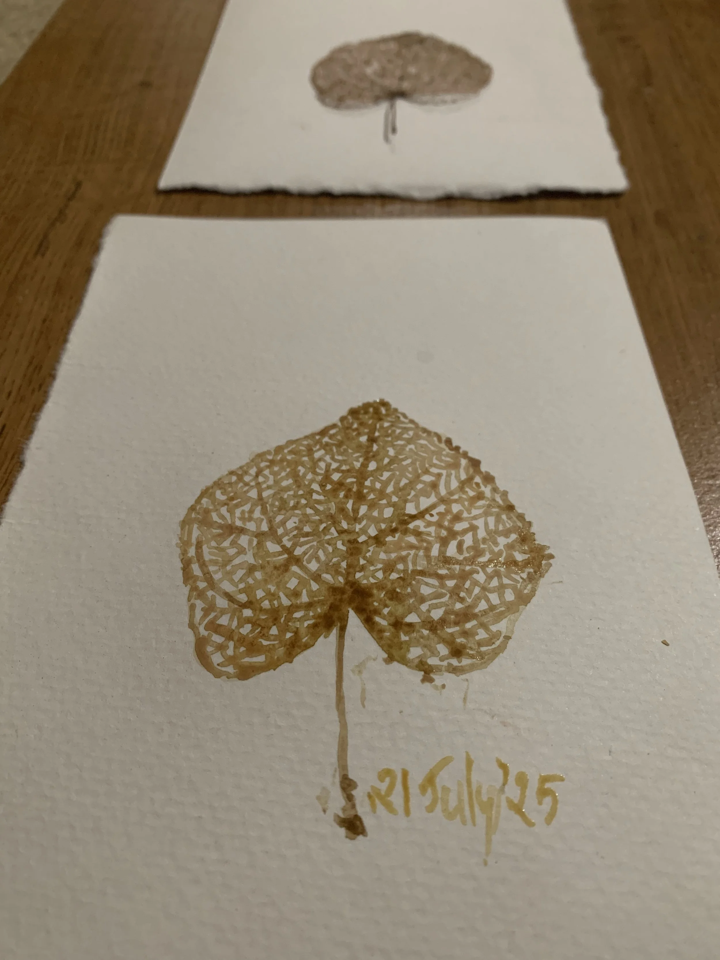 EBD7D91D-F3F4-467D-B03B-9551C405B089.jpeg
