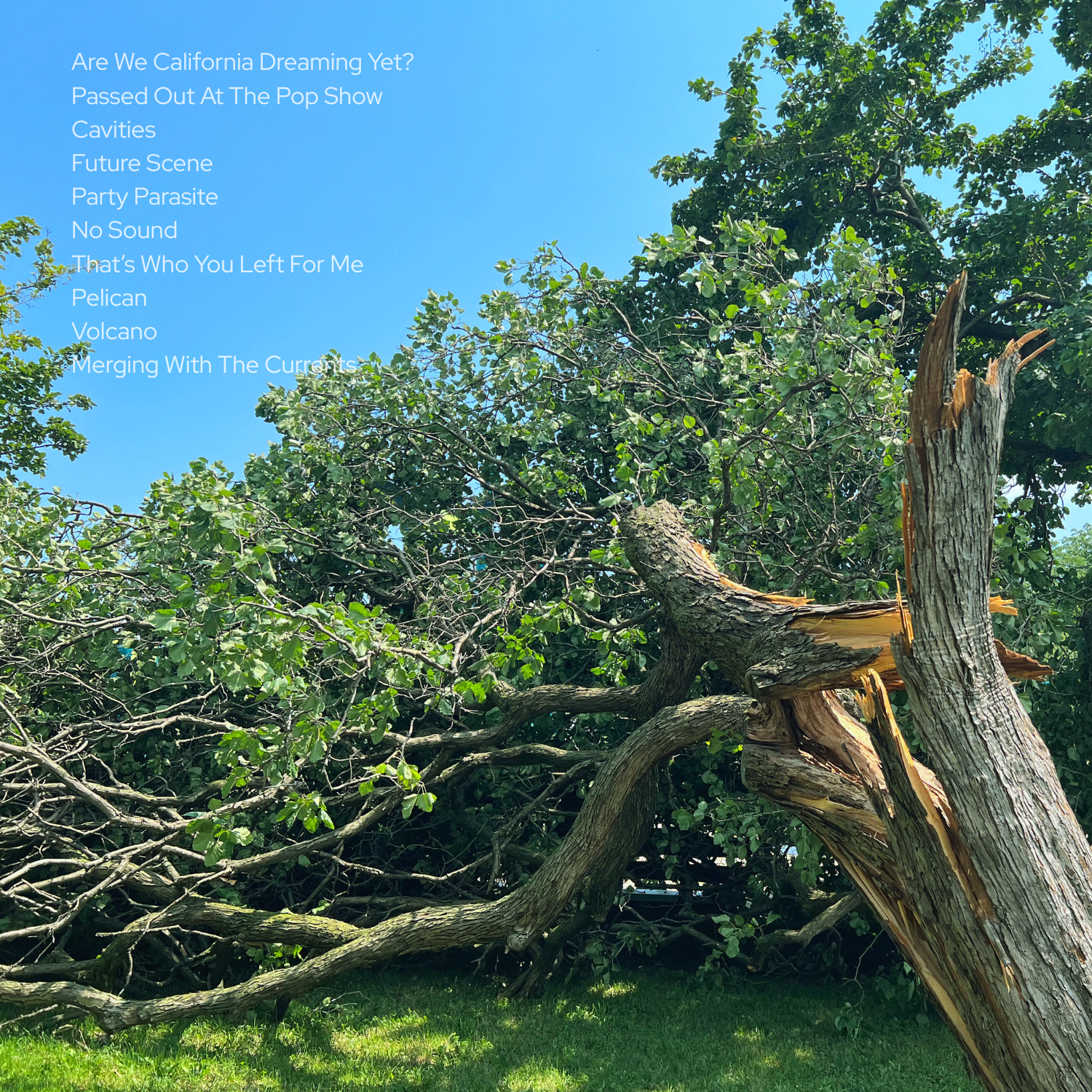 Cavities - Back Cover (1).png